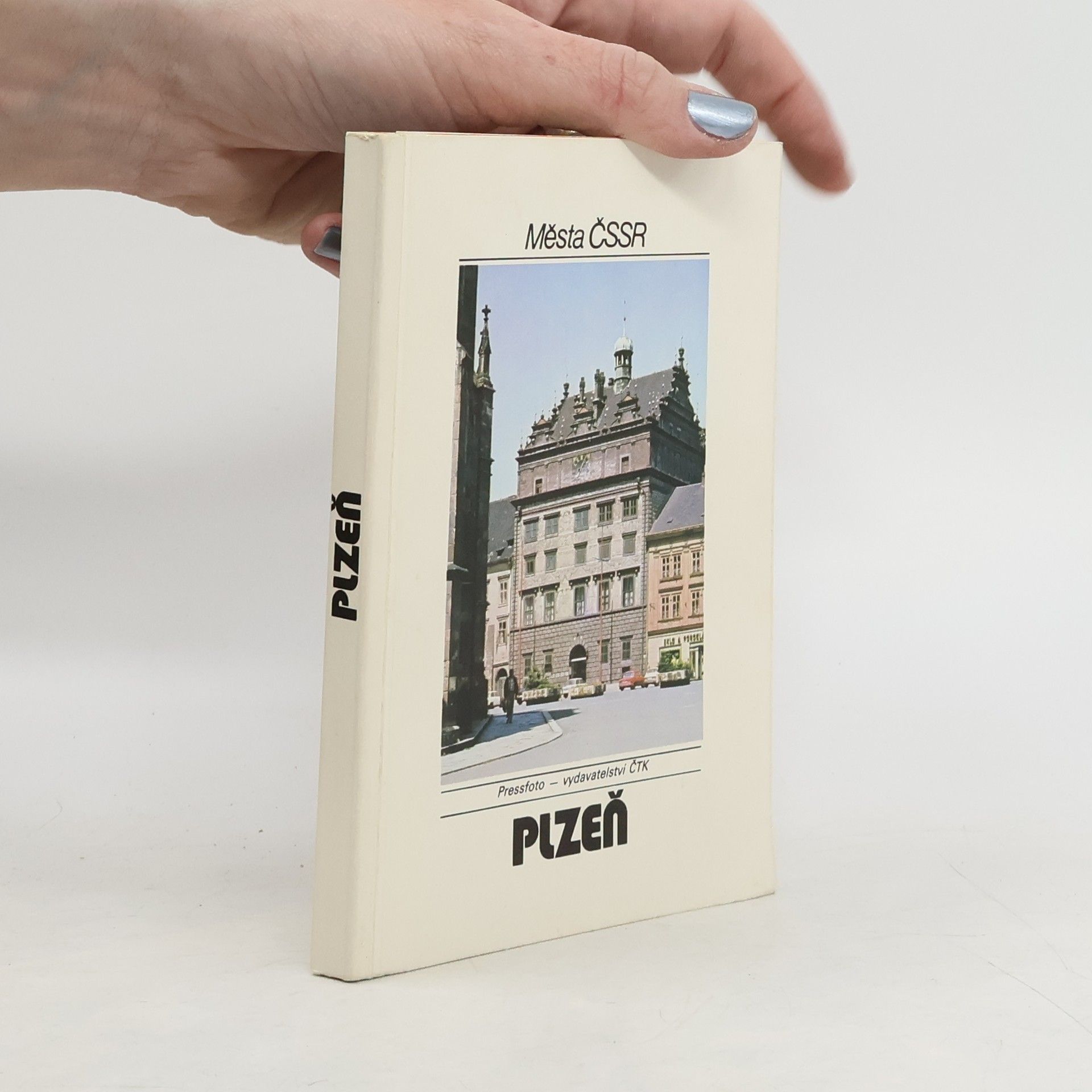 Various authors Plzeň