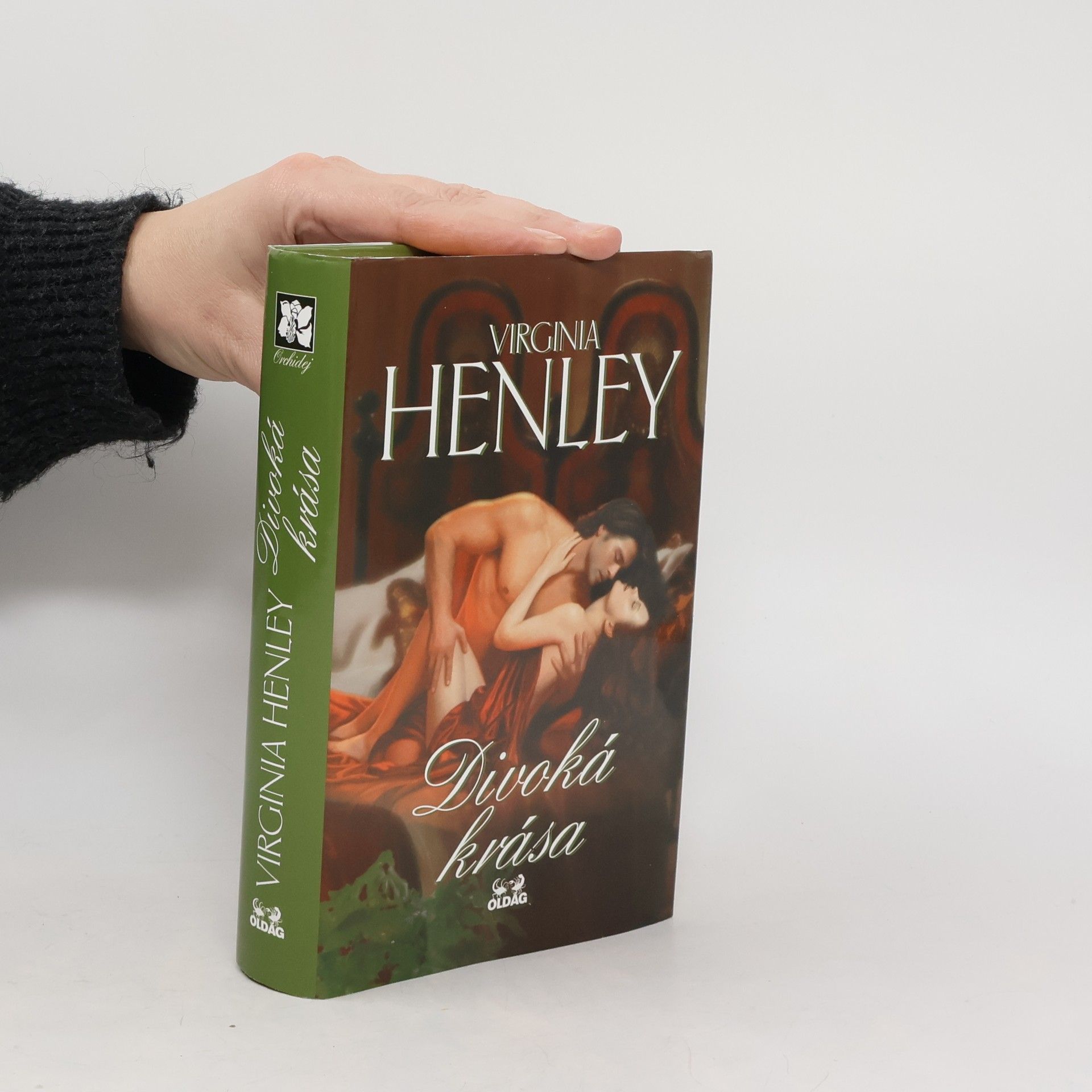 Virginia Henley Divoká krása