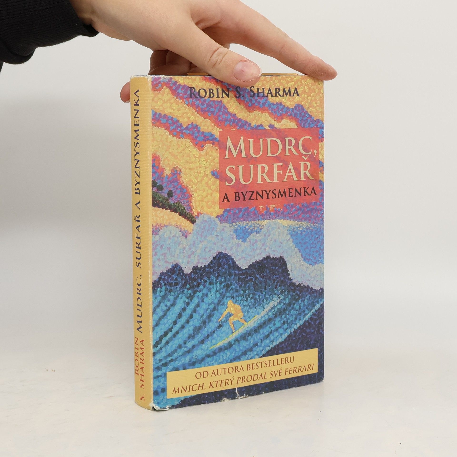 Robin Sharma Mudrc, surfař a byznysmenka