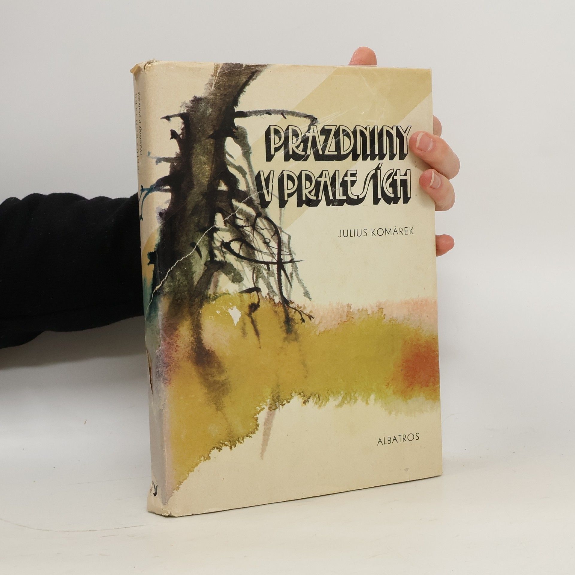 Julius Komárek Prázdniny v pralesích