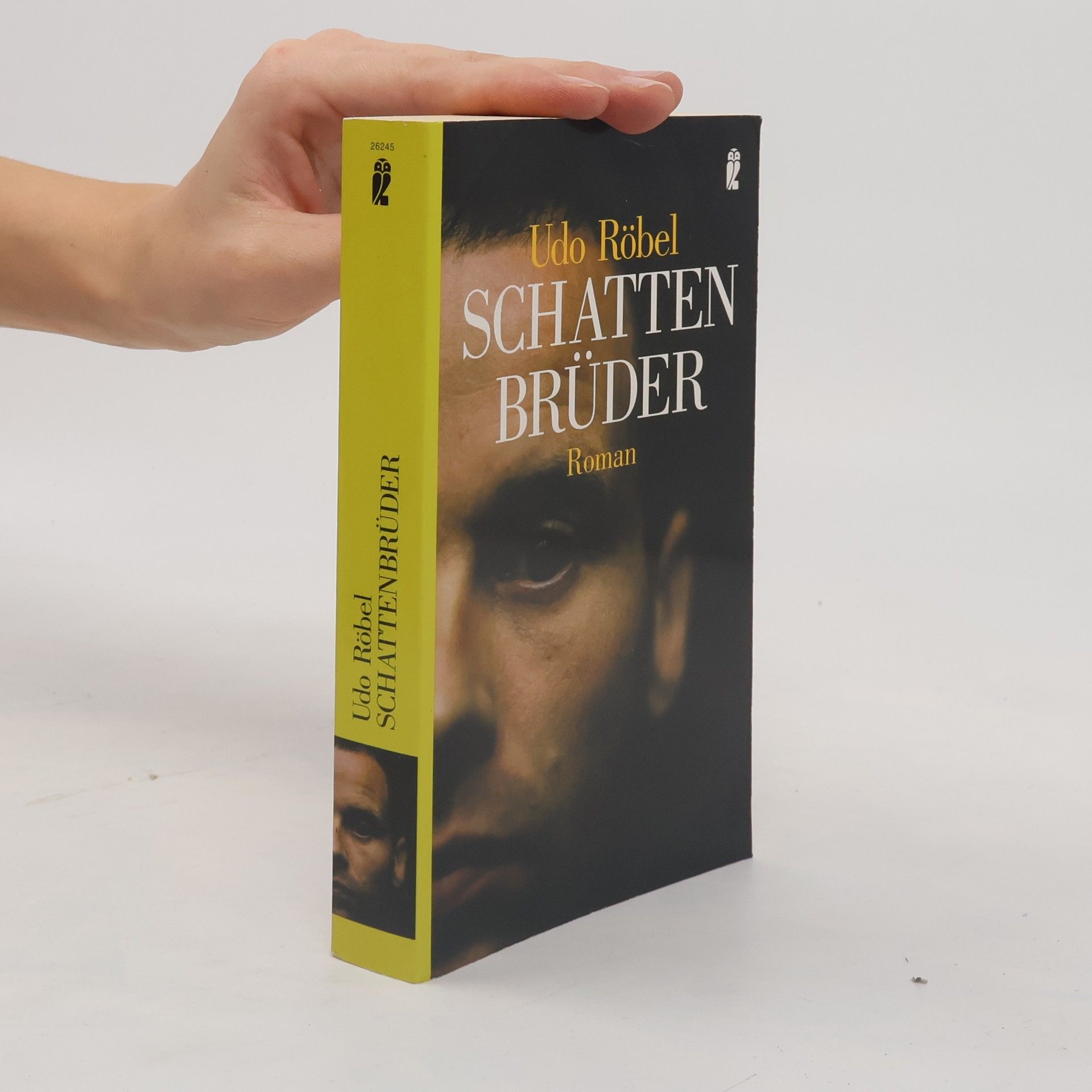 Udo Röbel Schattenbrüder