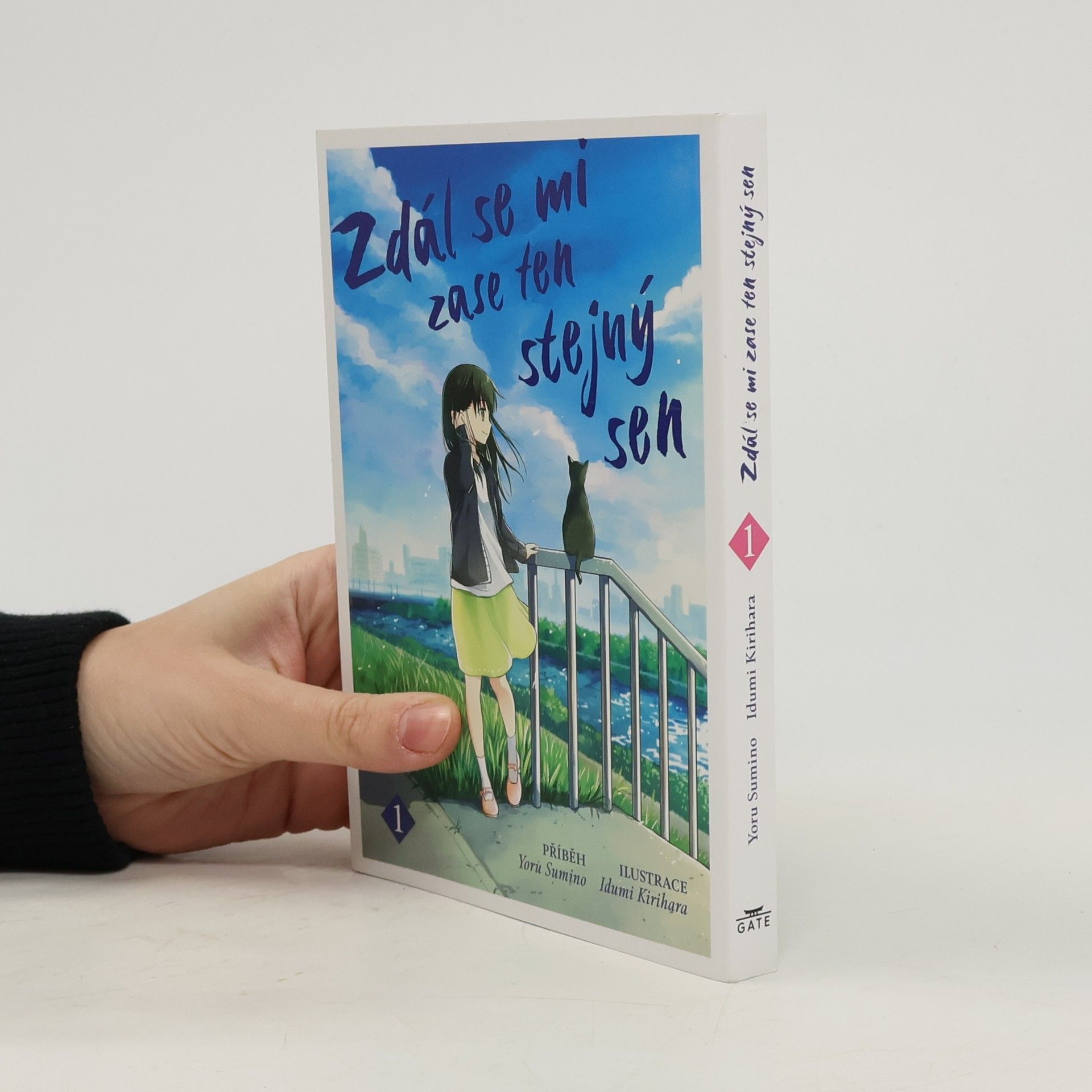 Joru Sumino Zdál se mi zase ten stejný sen 1