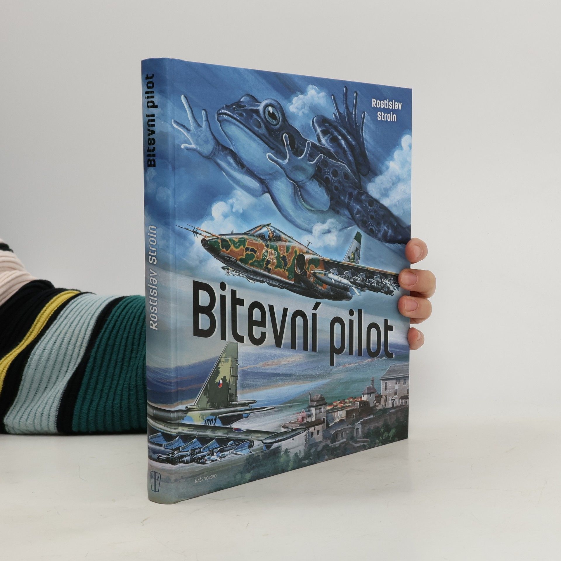 Rostislav Stroin Bitevní pilot