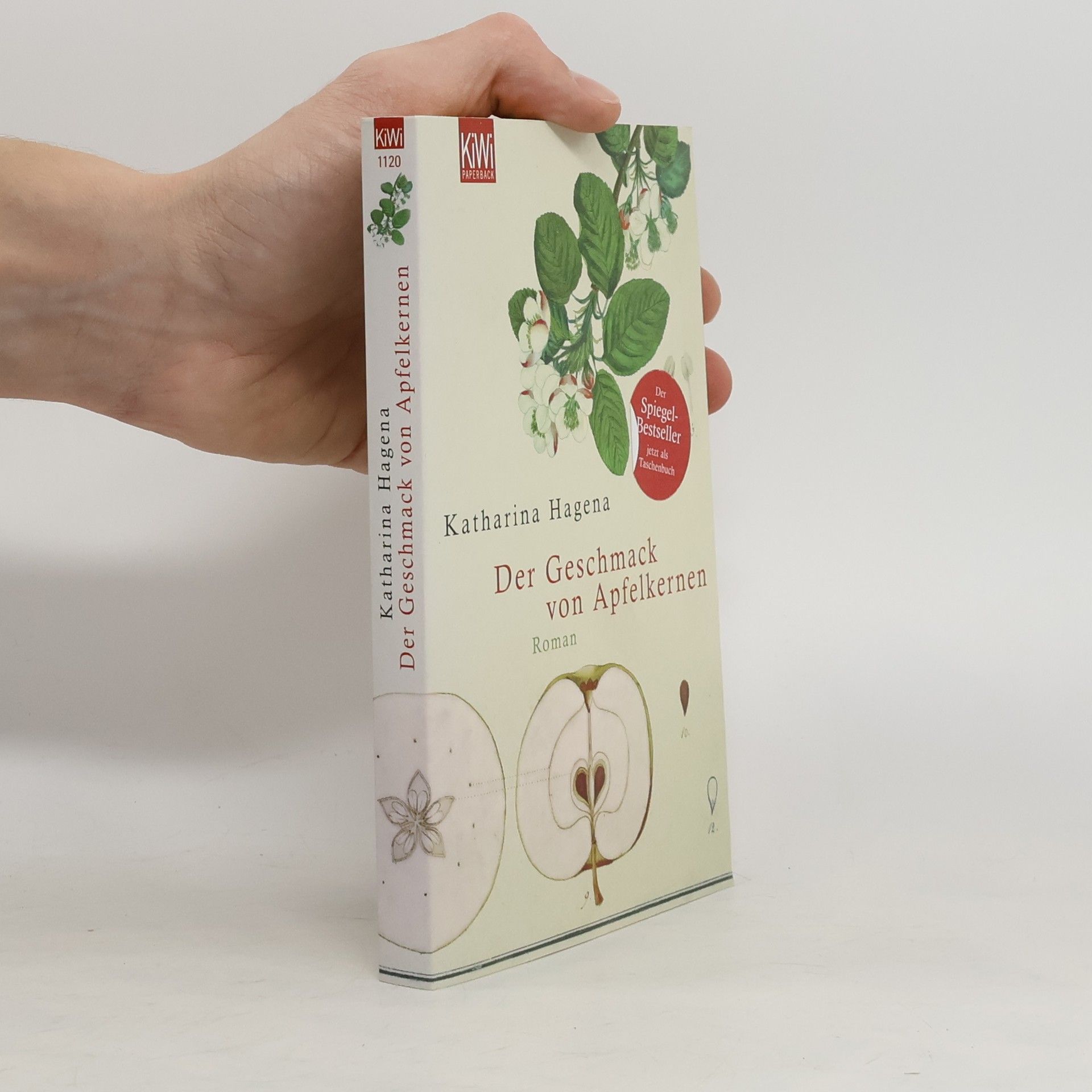 Katharina Hagena Der Geschmack von Apfelkernen