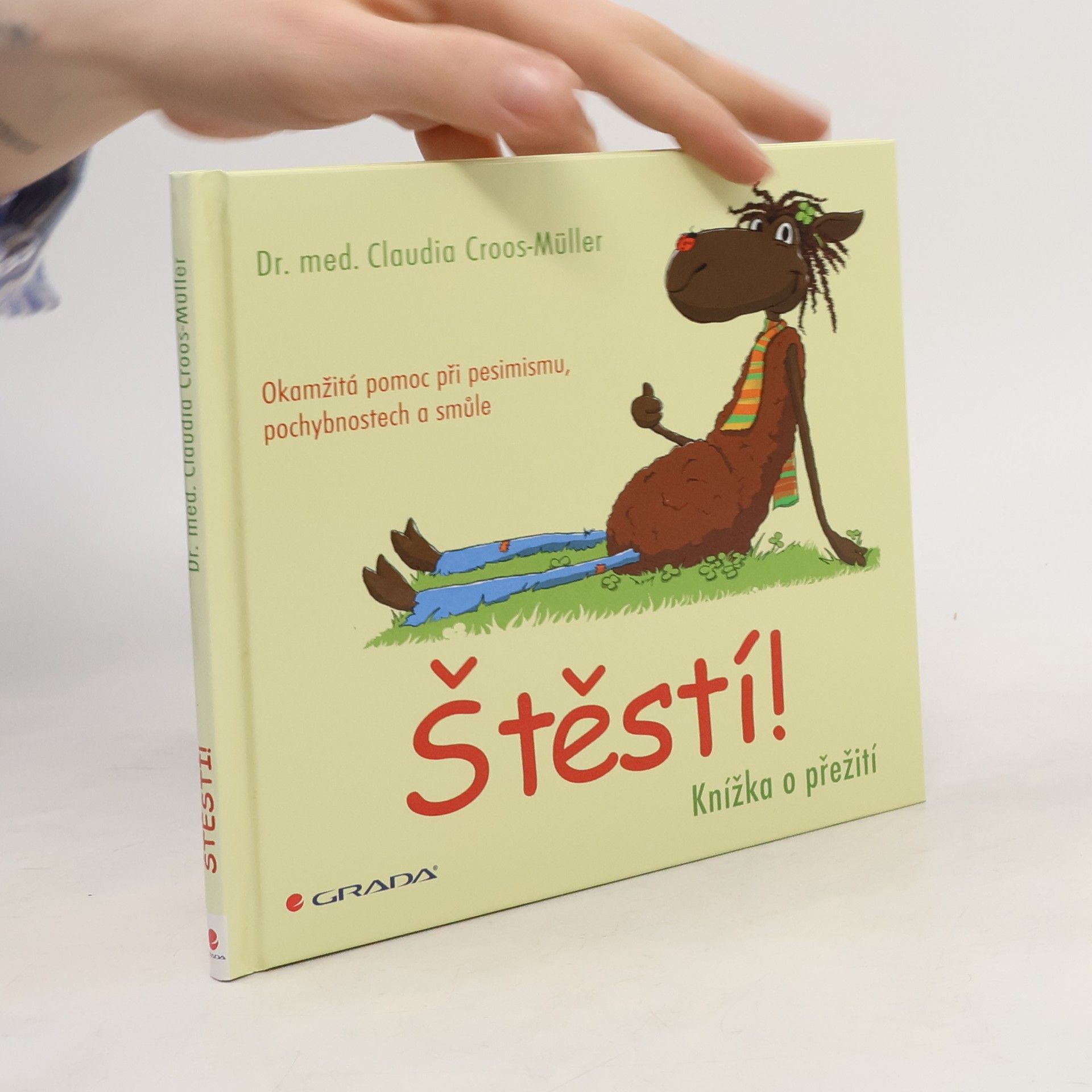 Štěstí! : knížka o přežití : Okamžitá pomoc při pesimismu, pochybnostech a smůle