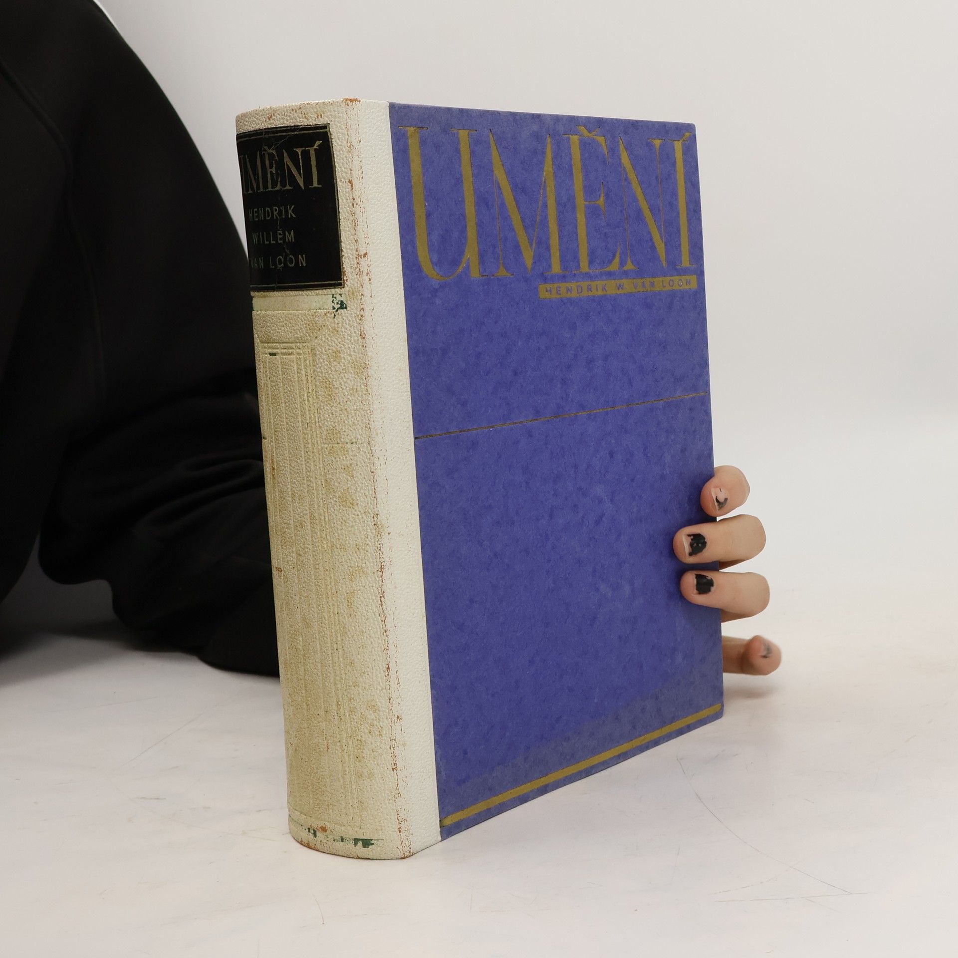 Hendrik Willem van Loon Umění