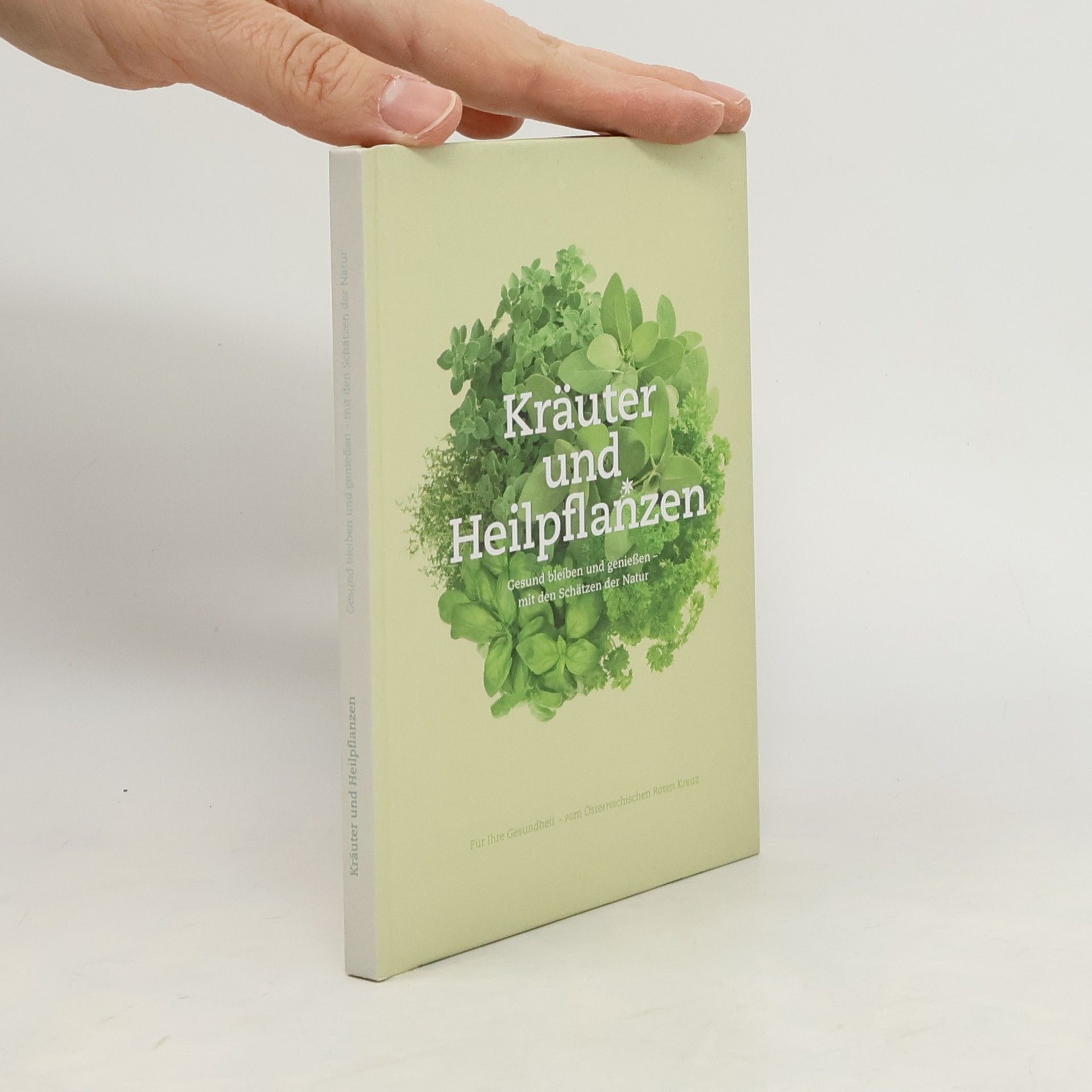Autorenkollektiv Kräuter und Heilpflanzen