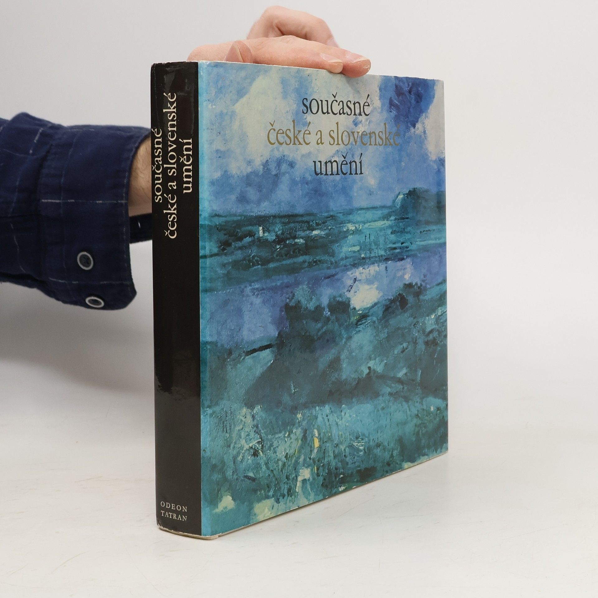 Kolektiv autorů Současné české a slovenské umění