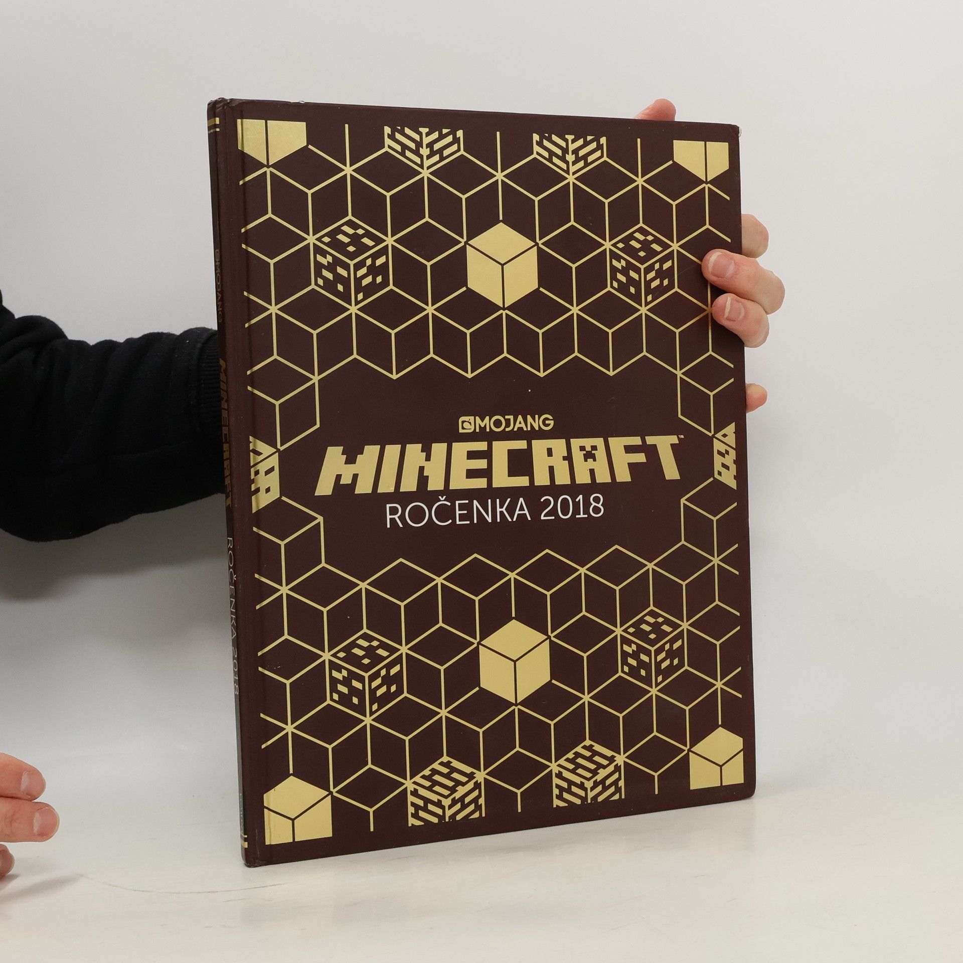 Minecraft. Ročenka 2018