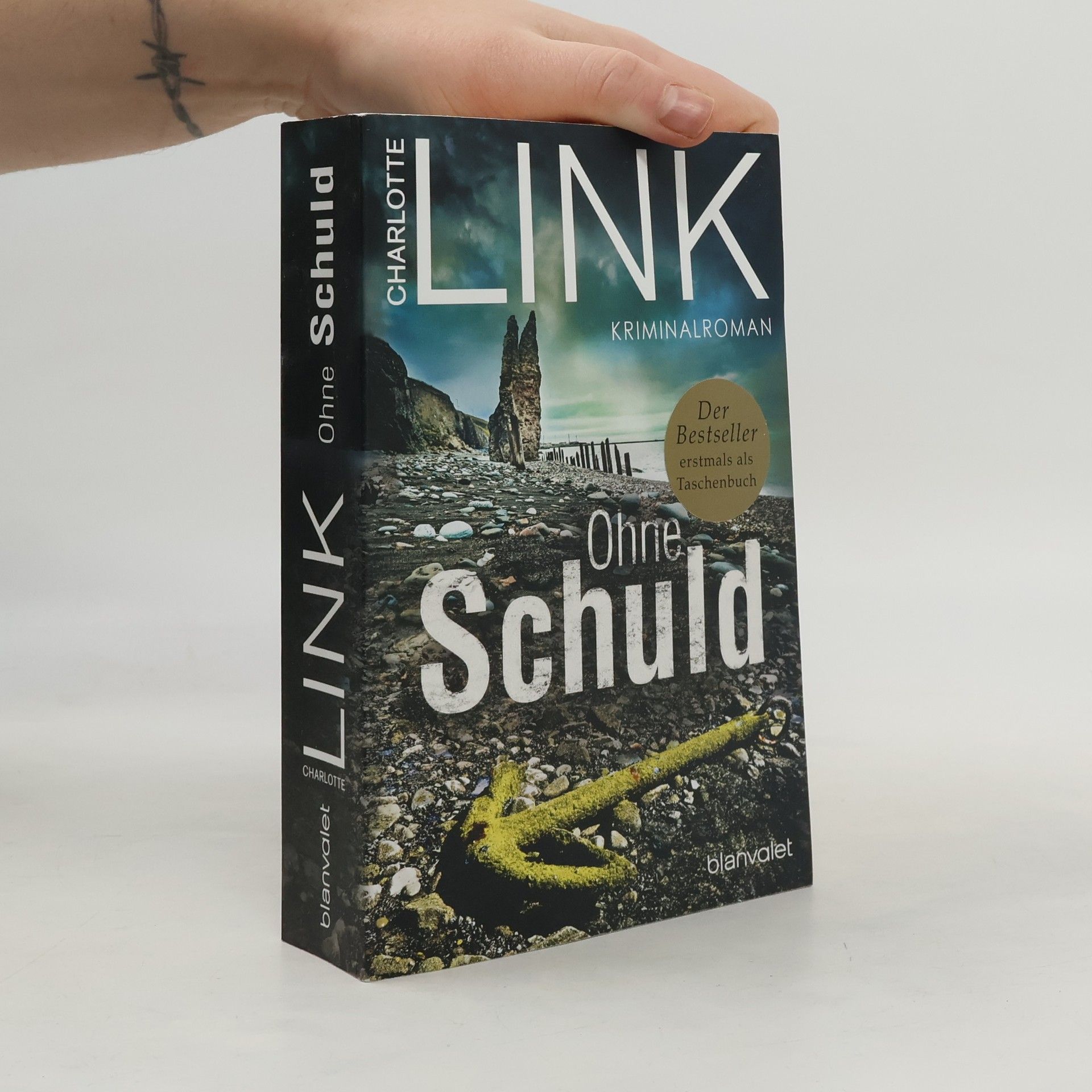 Charlotte Link Ohne Schuld