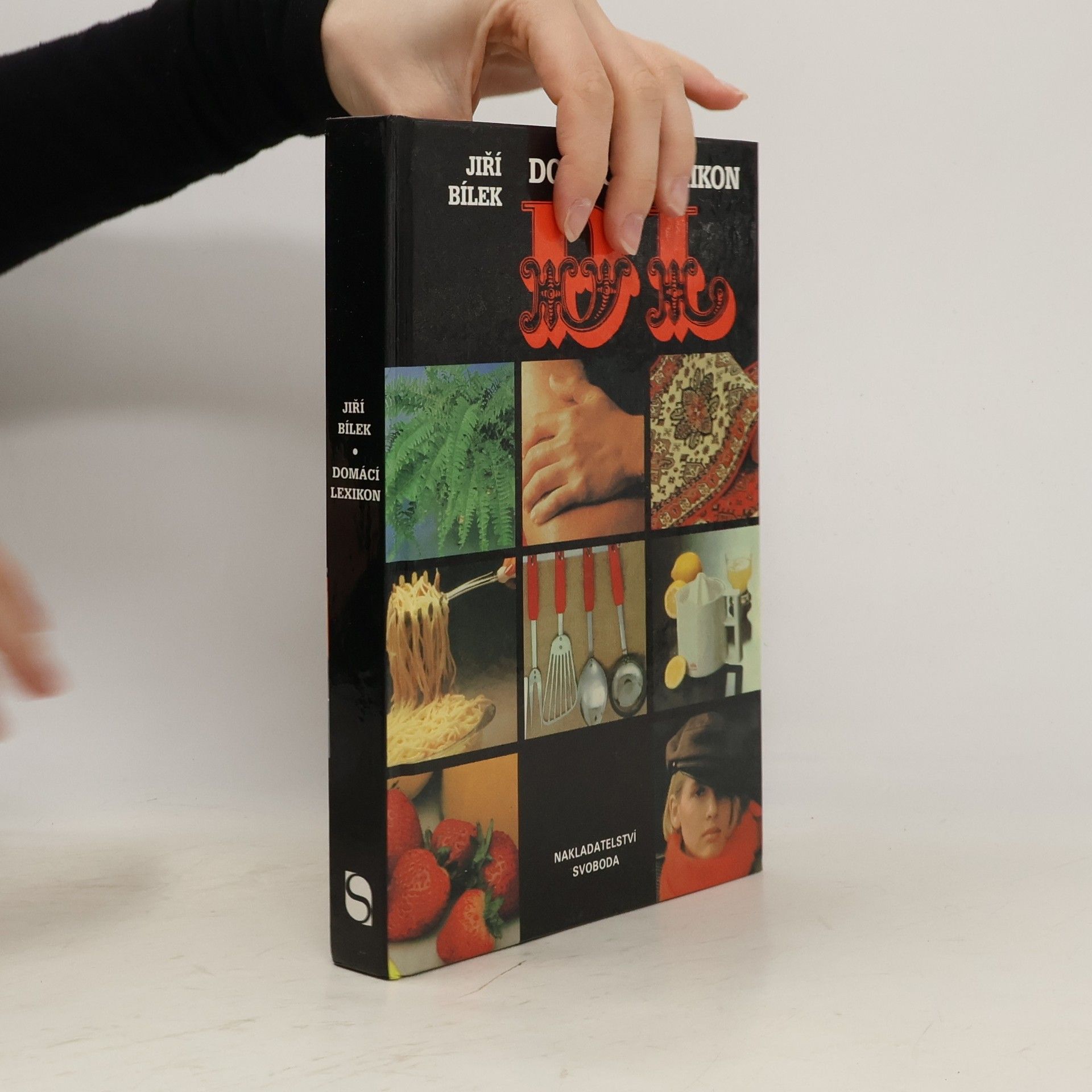 Jiří Bílek Domácí lexikon
