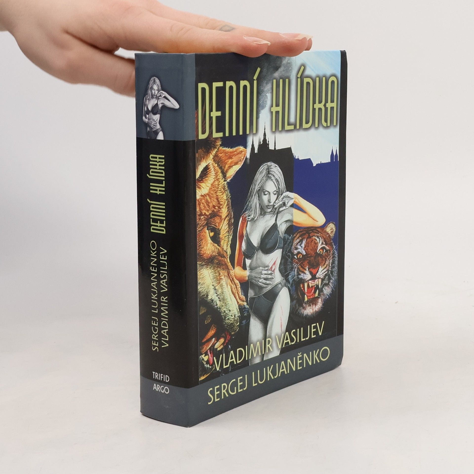 Sergej Vasiljevič Lukjaněnko Denní hlídka