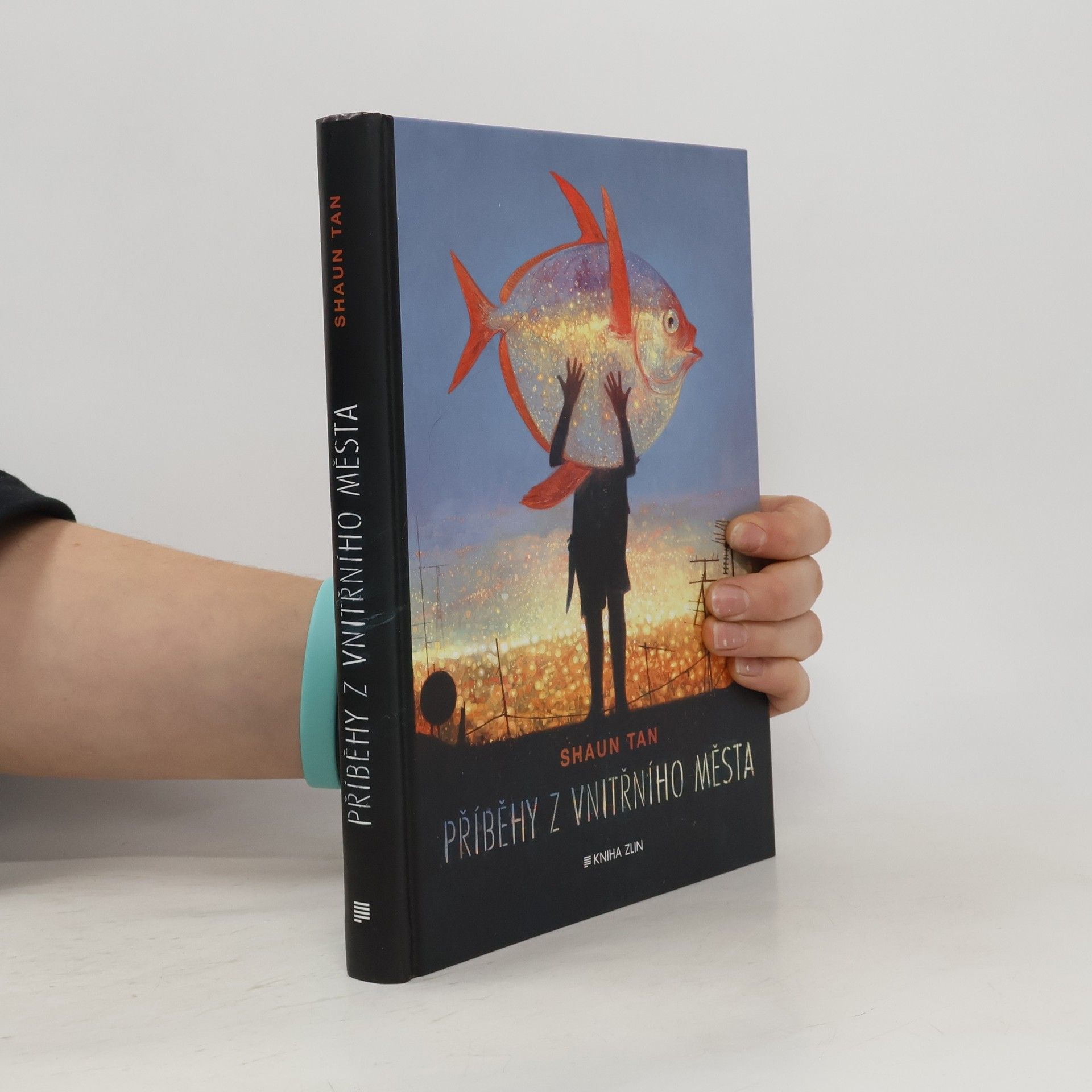 Shaun Tan Příběhy z vnitřního města