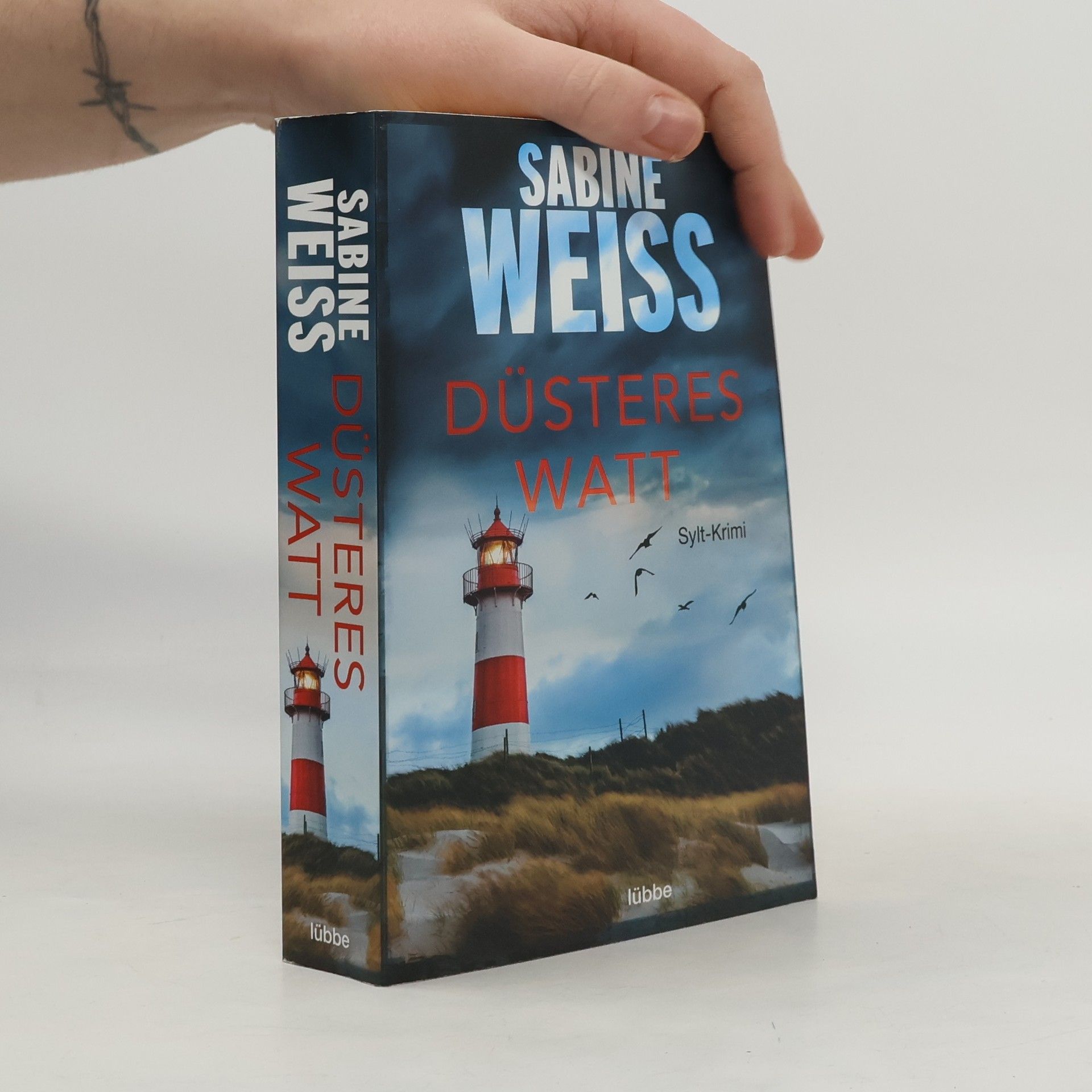 Sabine Weiß Düsteres Watt