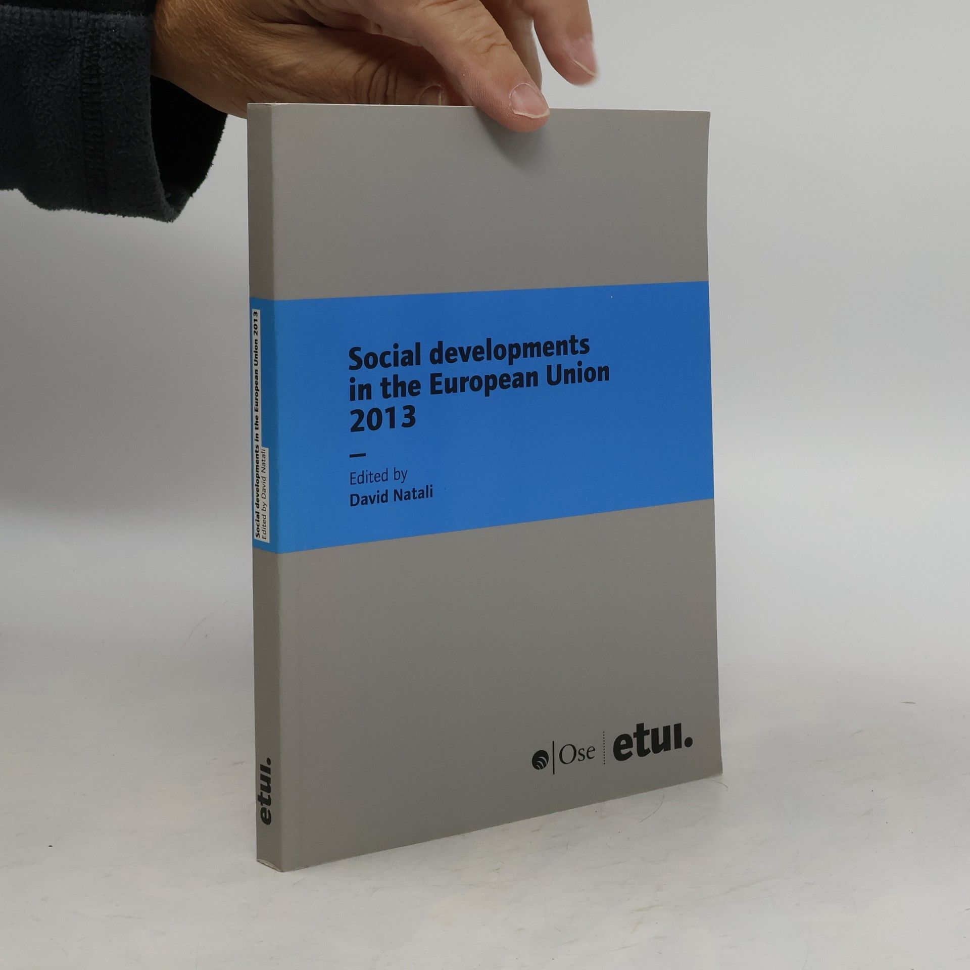 Social Developments In The European Union 2013