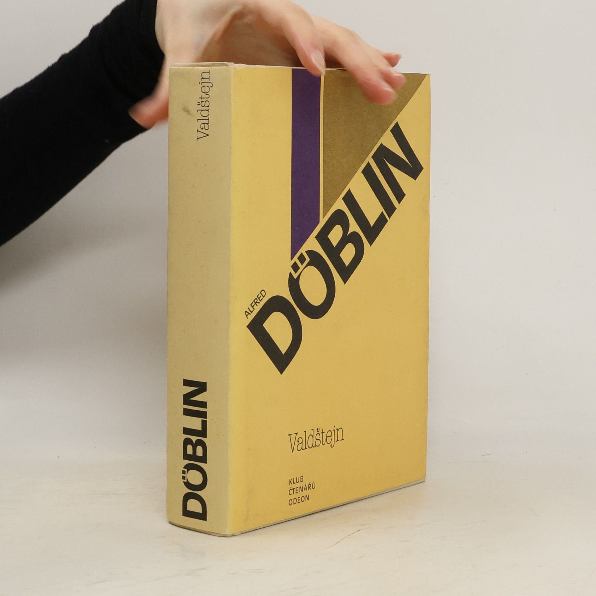 Alfred Döblin Valdštejn