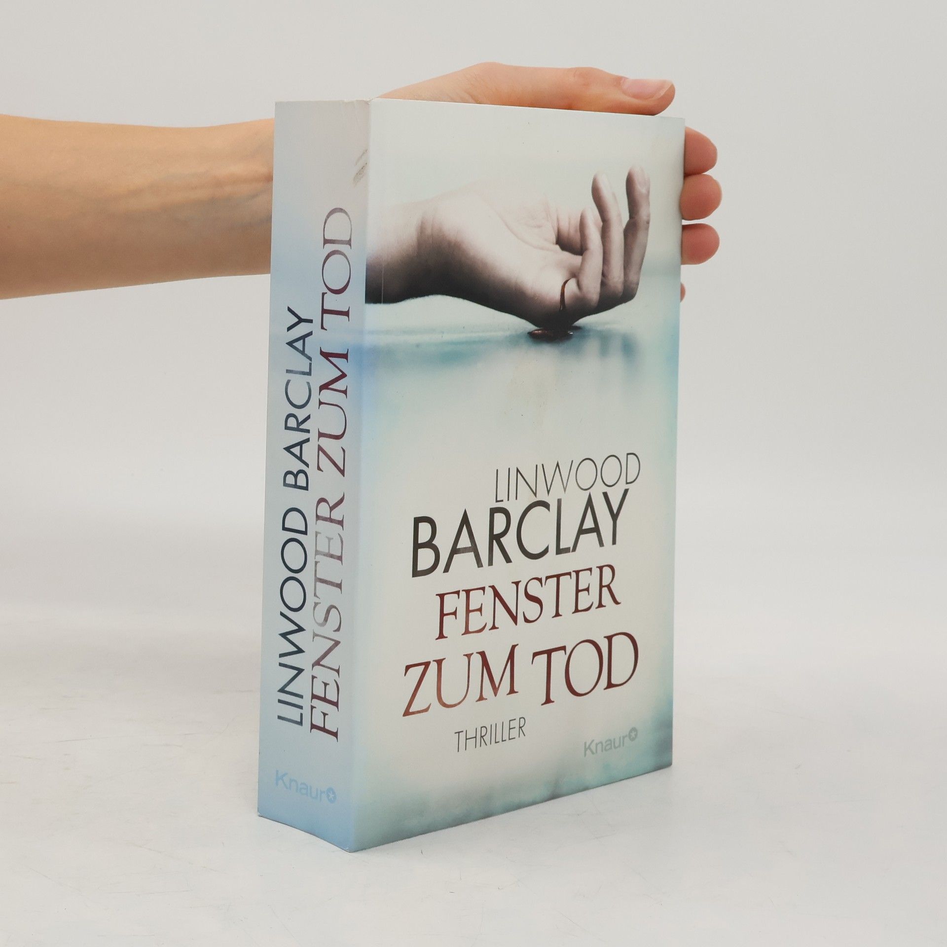 Linwood Barclay Fenster zum Tod