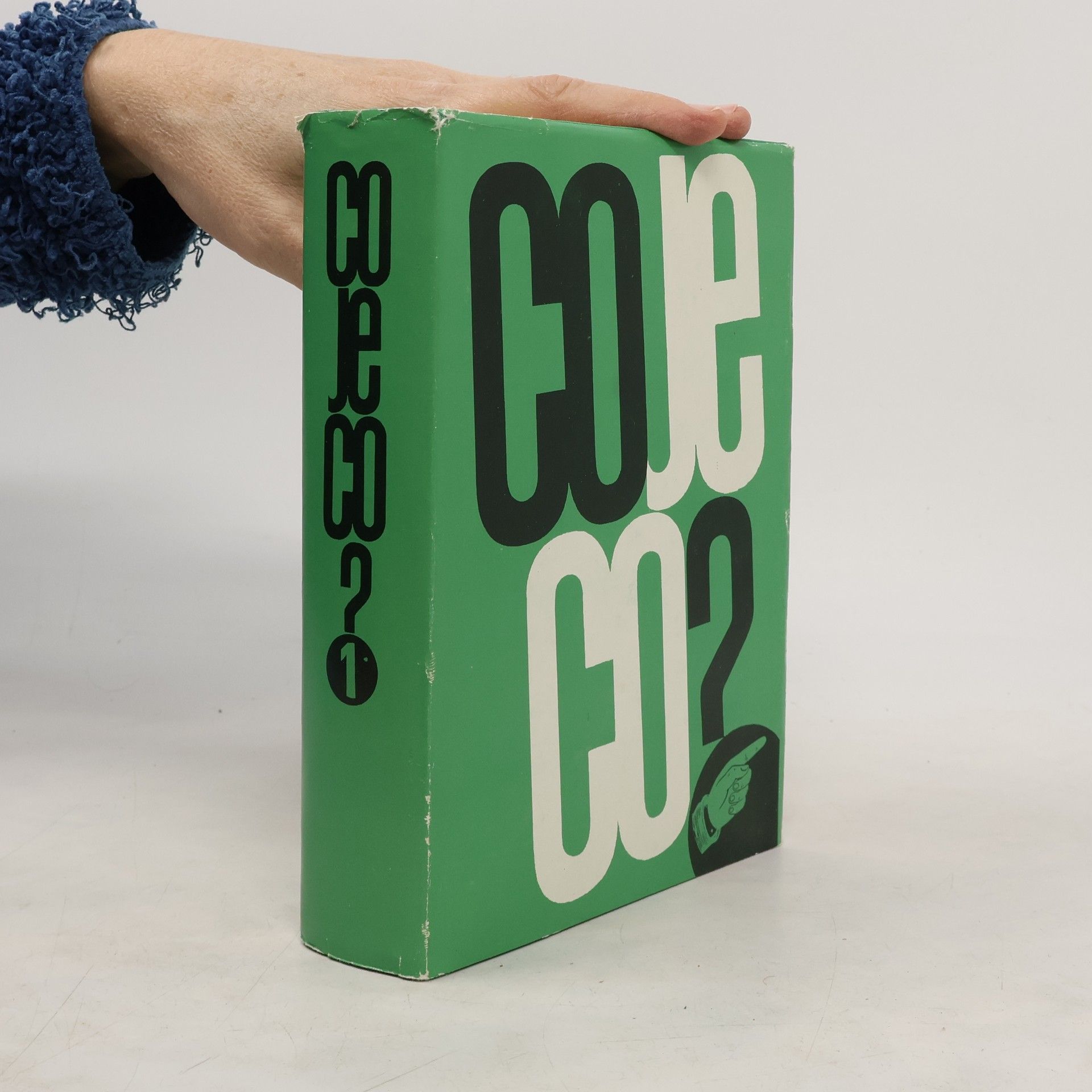 Roman Reisenauer Co je co? 1 Příručka pro každý den