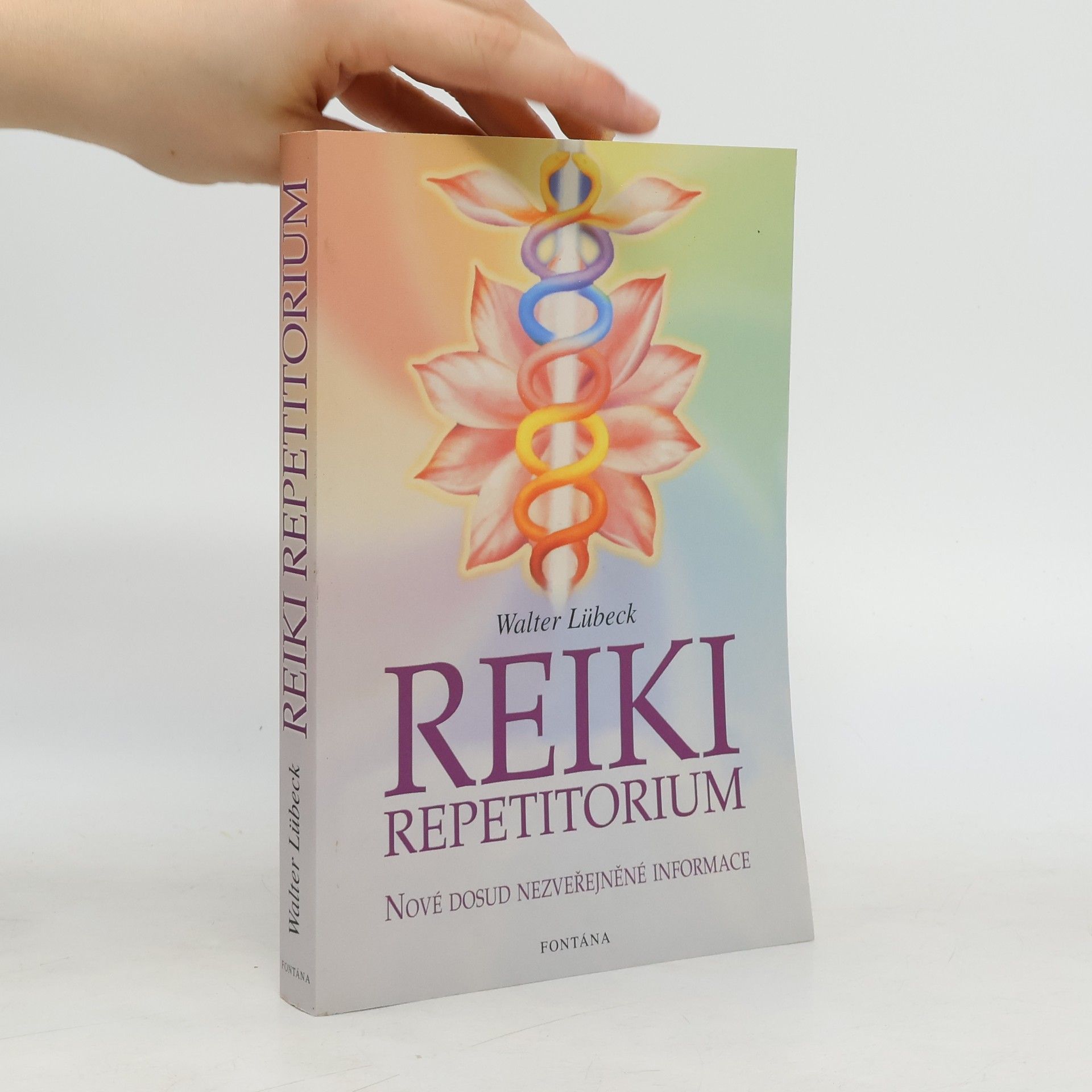 Walter Lübeck Repetitorium reiki