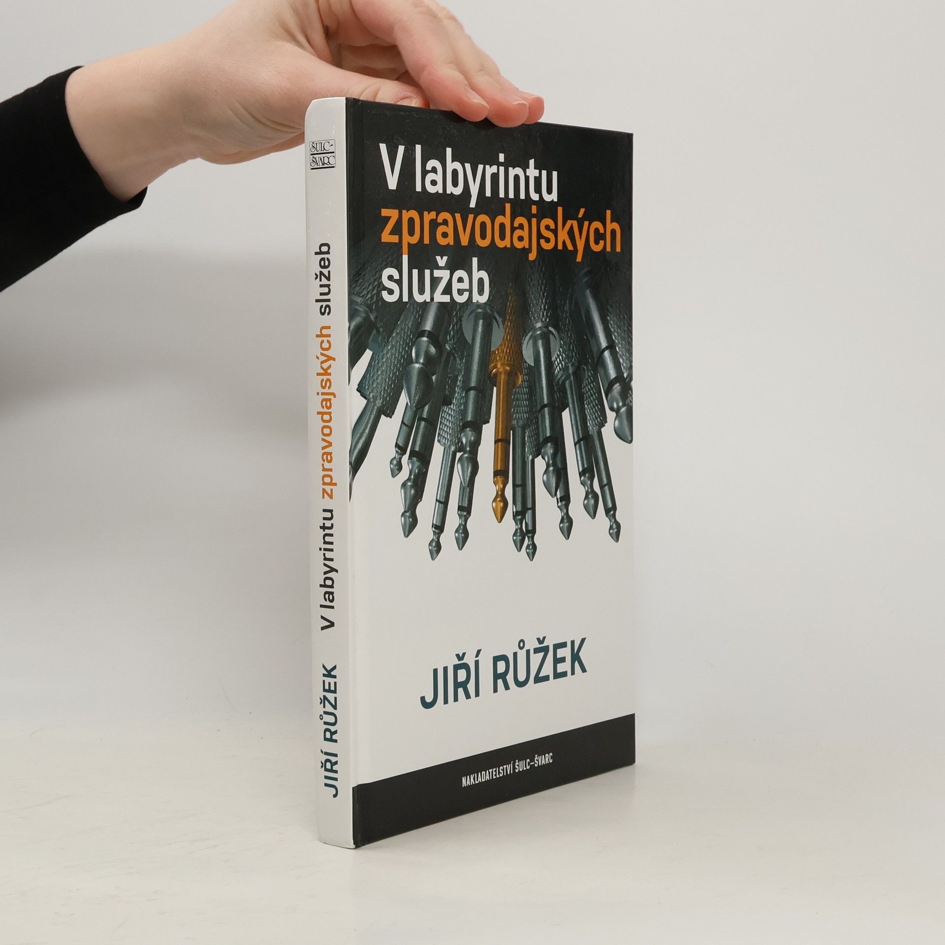 Jiří Růžek V labyrintu zpravodajských služeb