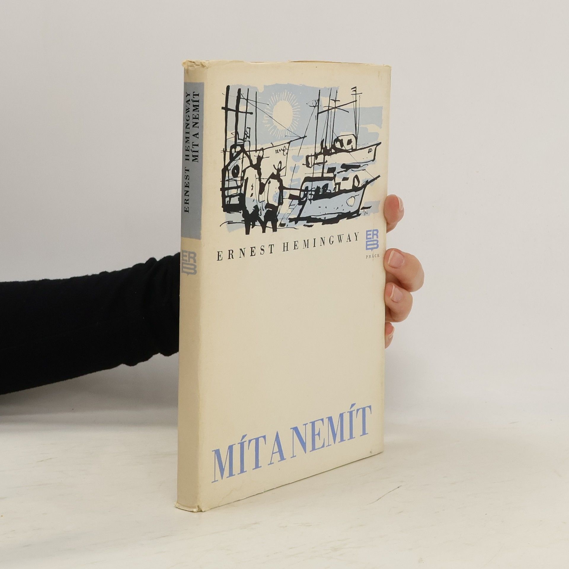 Ernest Hemingway Mít a nemít