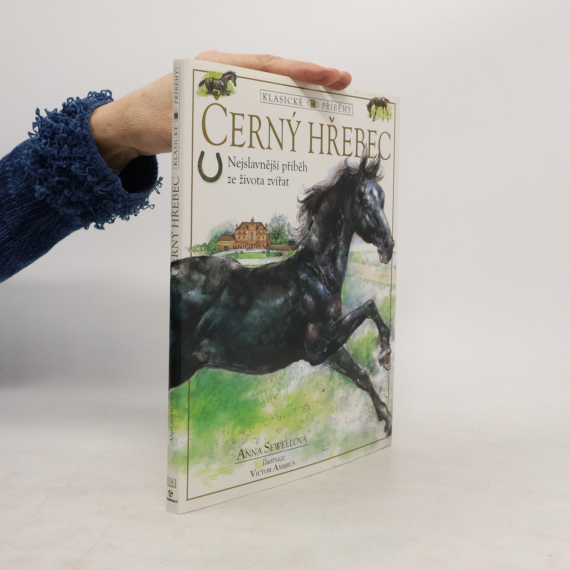 Anna Sewel Černý hřebec
