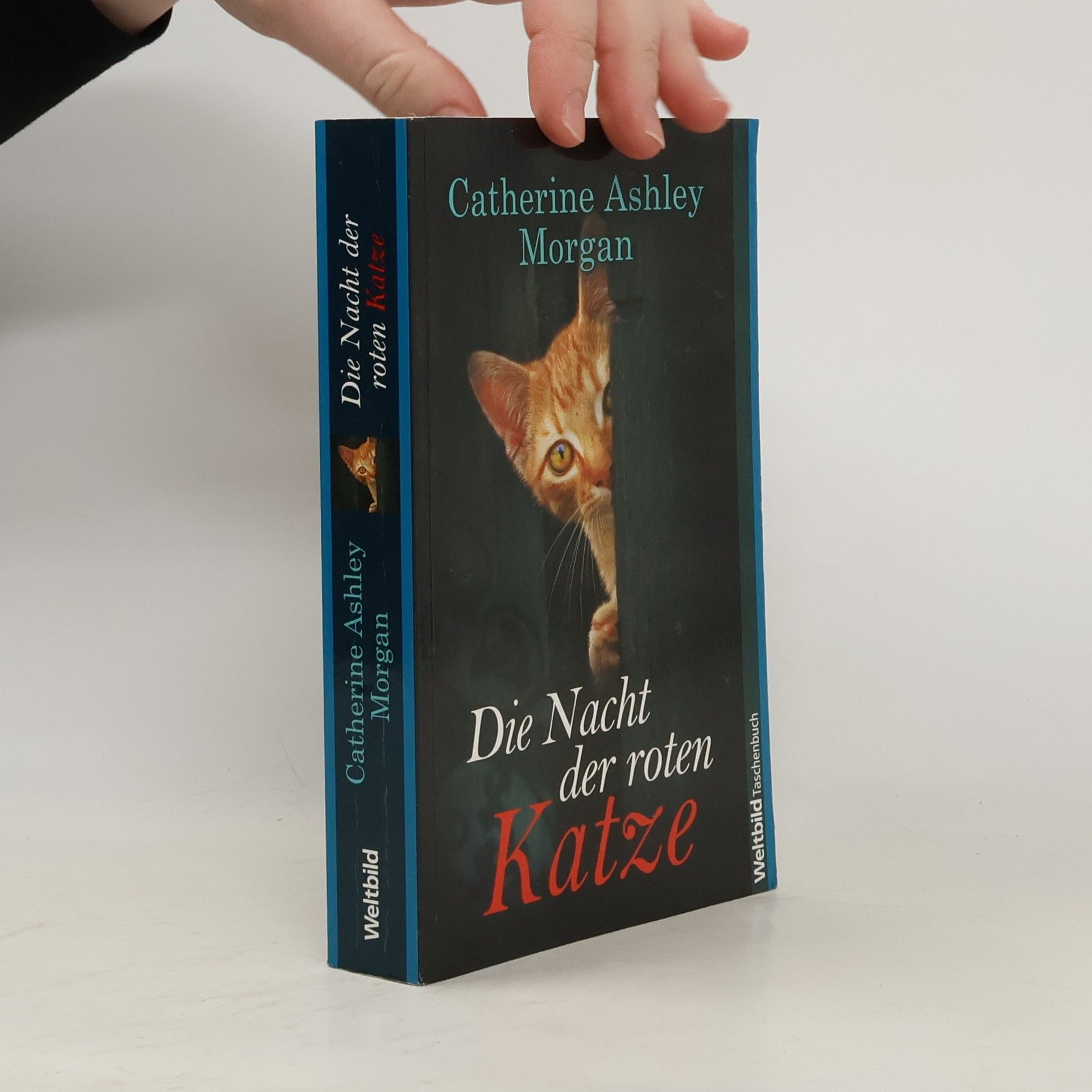 Die Nacht der roten Katze