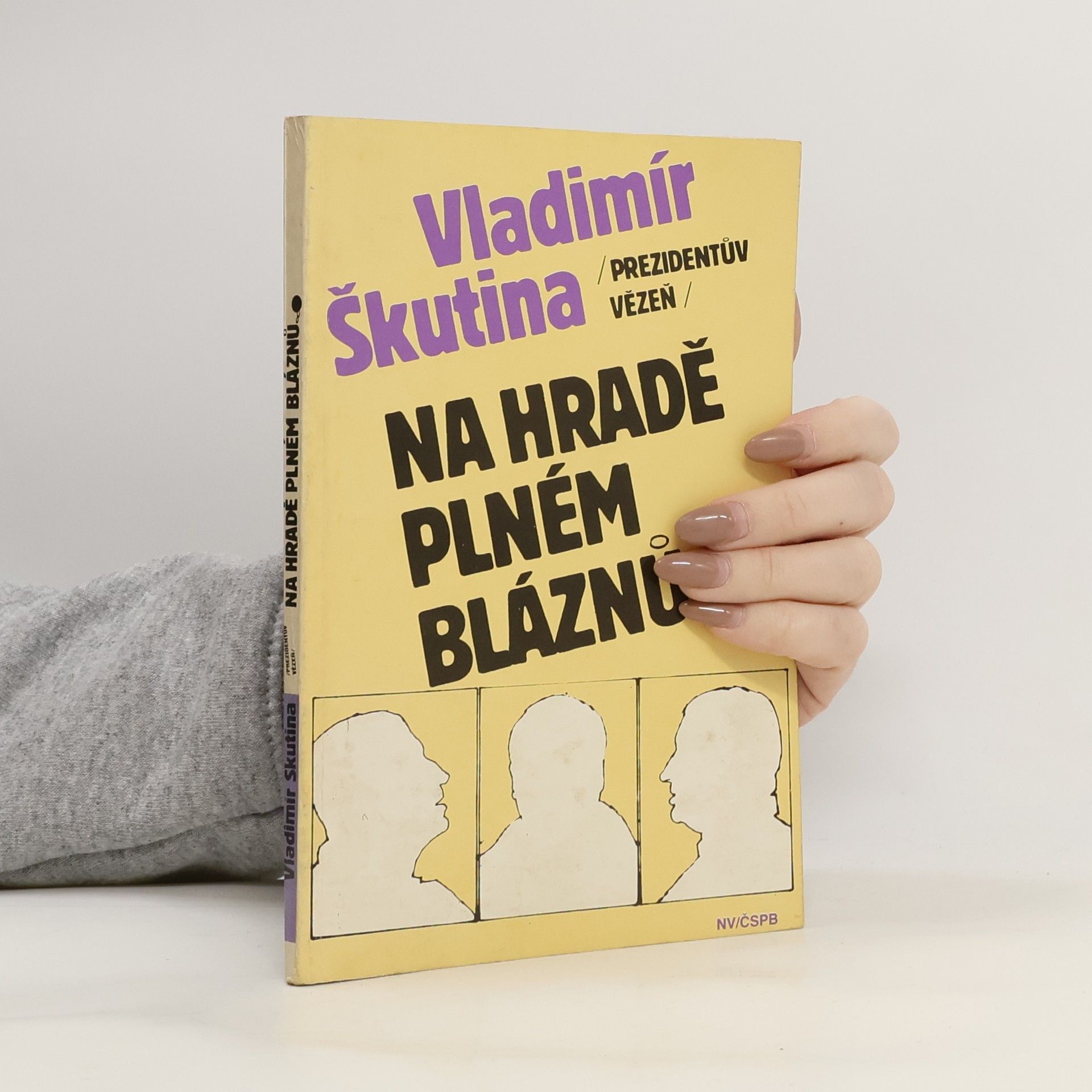 Vladimír Škutina Na hradě plném bláznů
