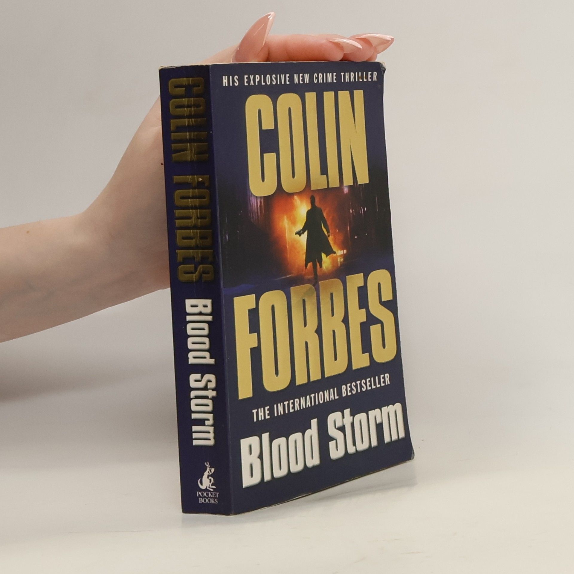 Colin Forbes Blood Storm