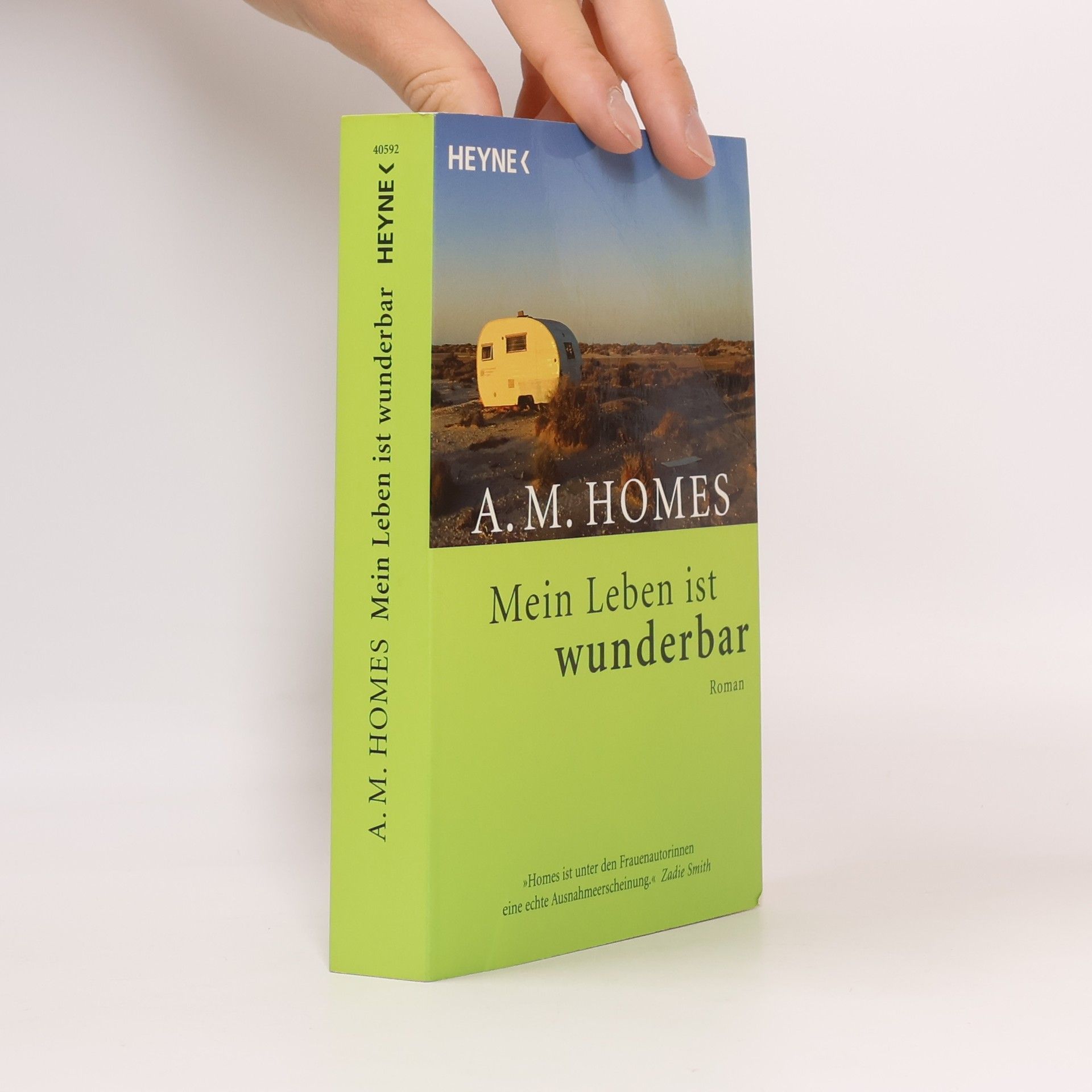 A. M. Homes Mein Leben ist wunderbar