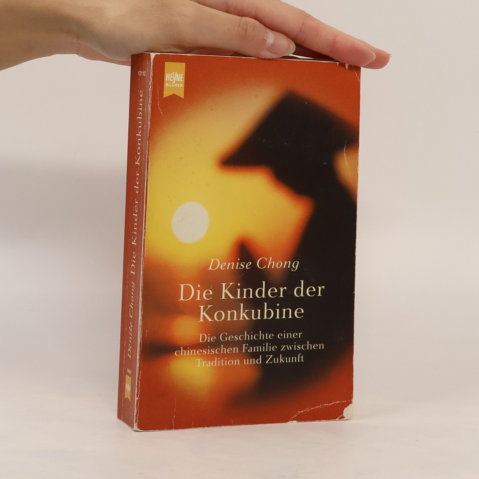 Denise Chong Die Kinder der Konkubine