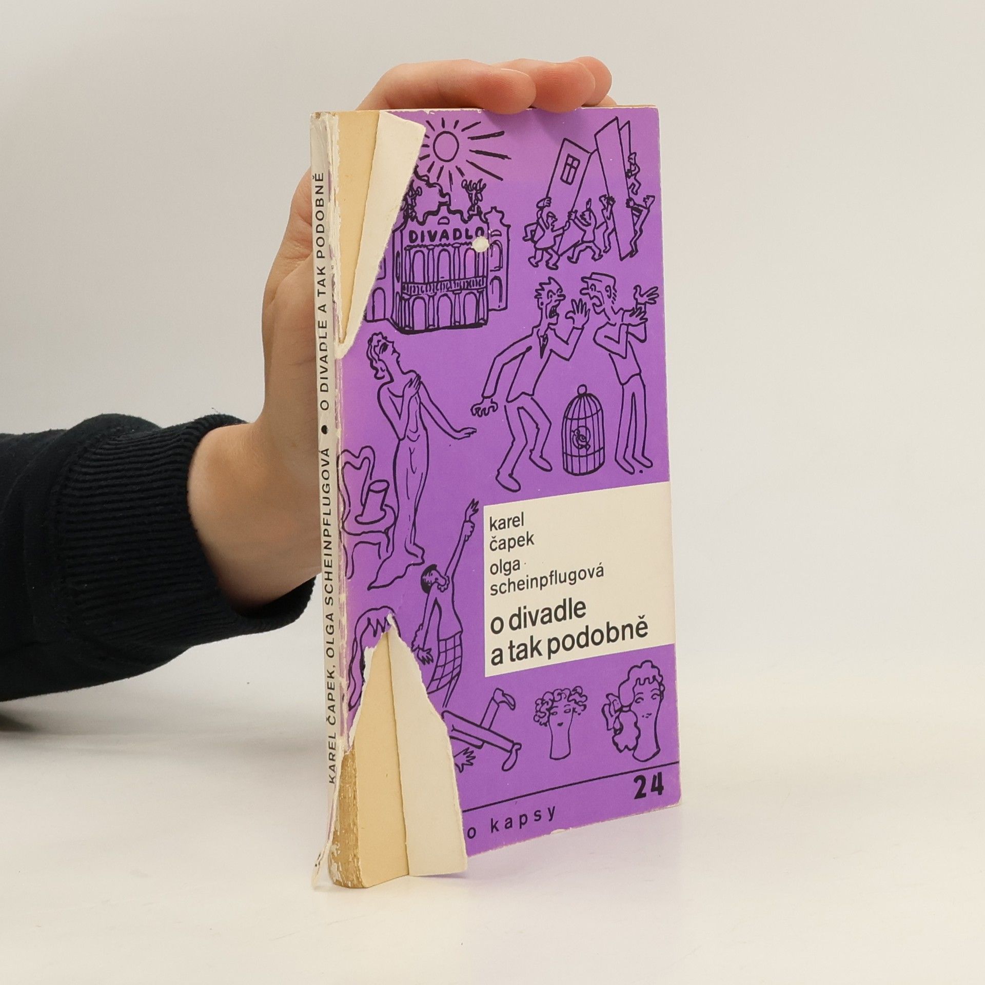 Karel Čapek O divadle a tak podobně