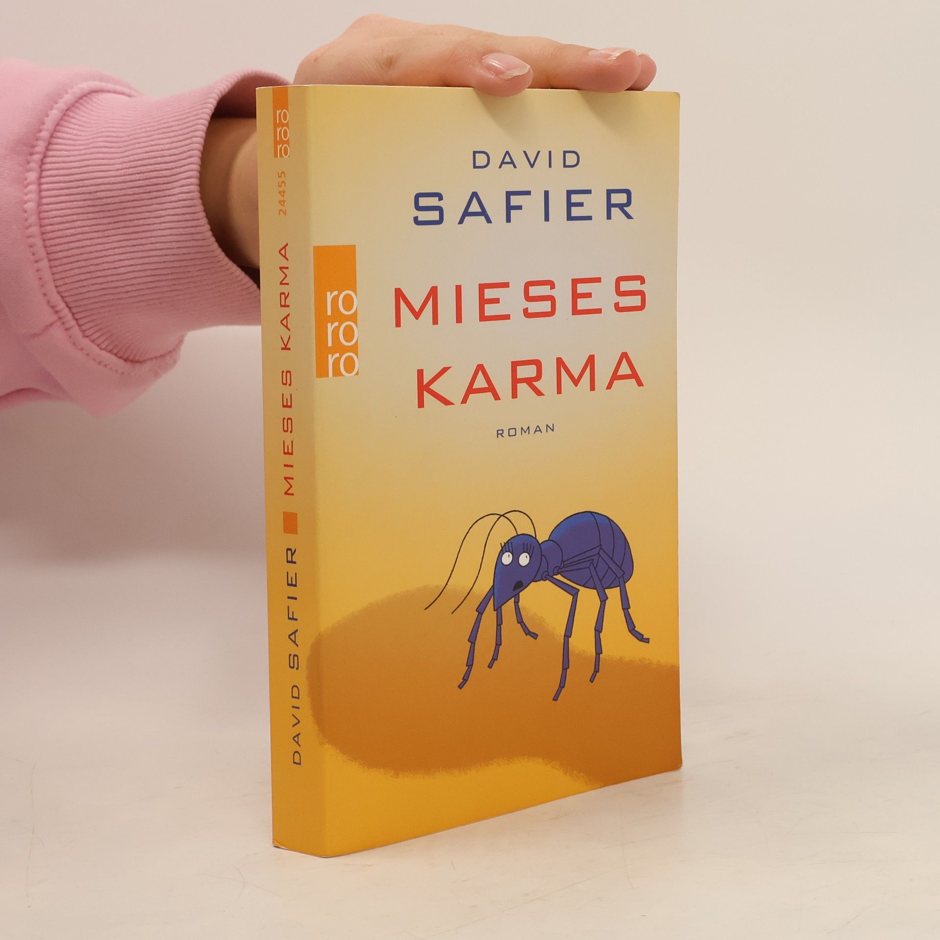David Safier Mieses Karma