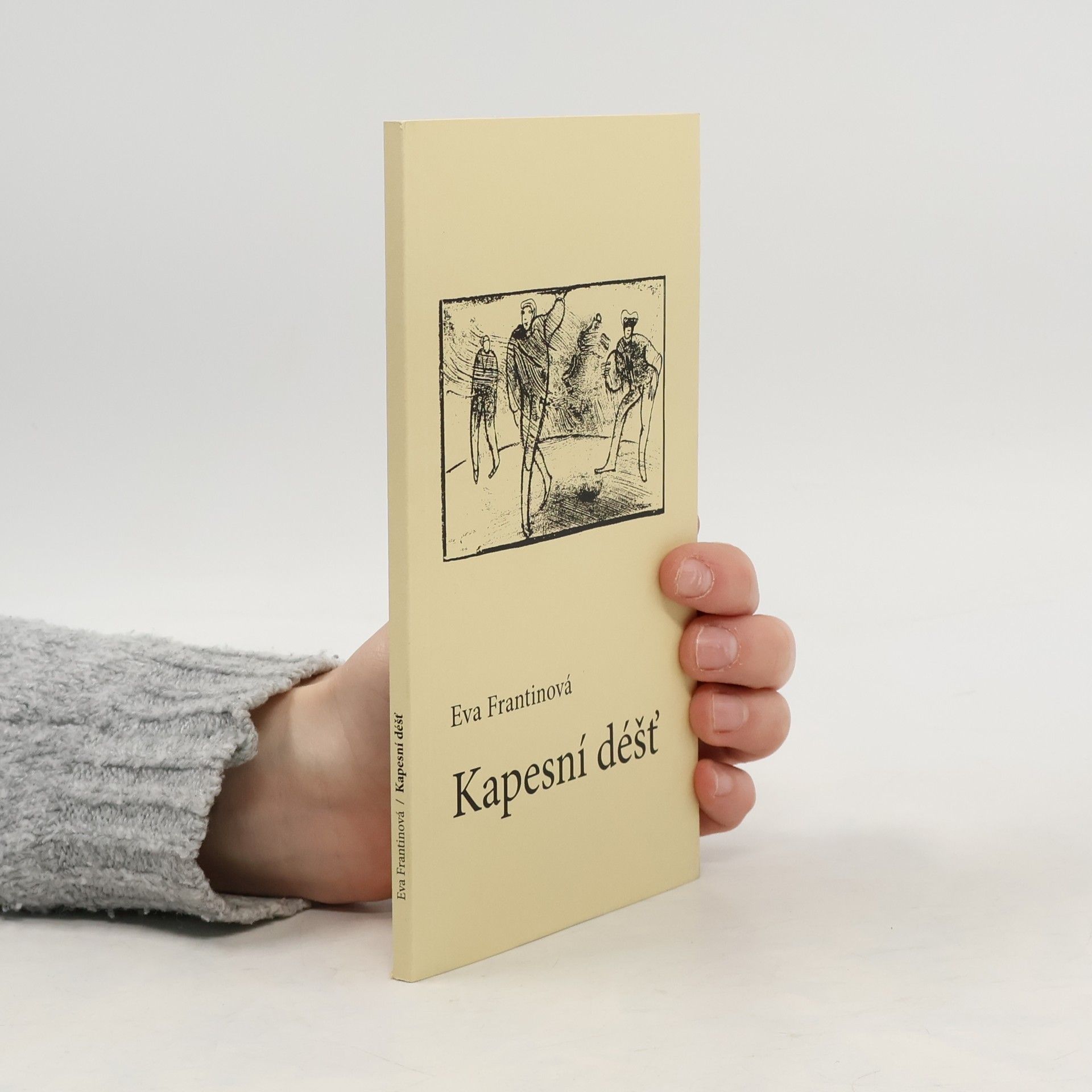 Eva Frantinová Kapesní déšť