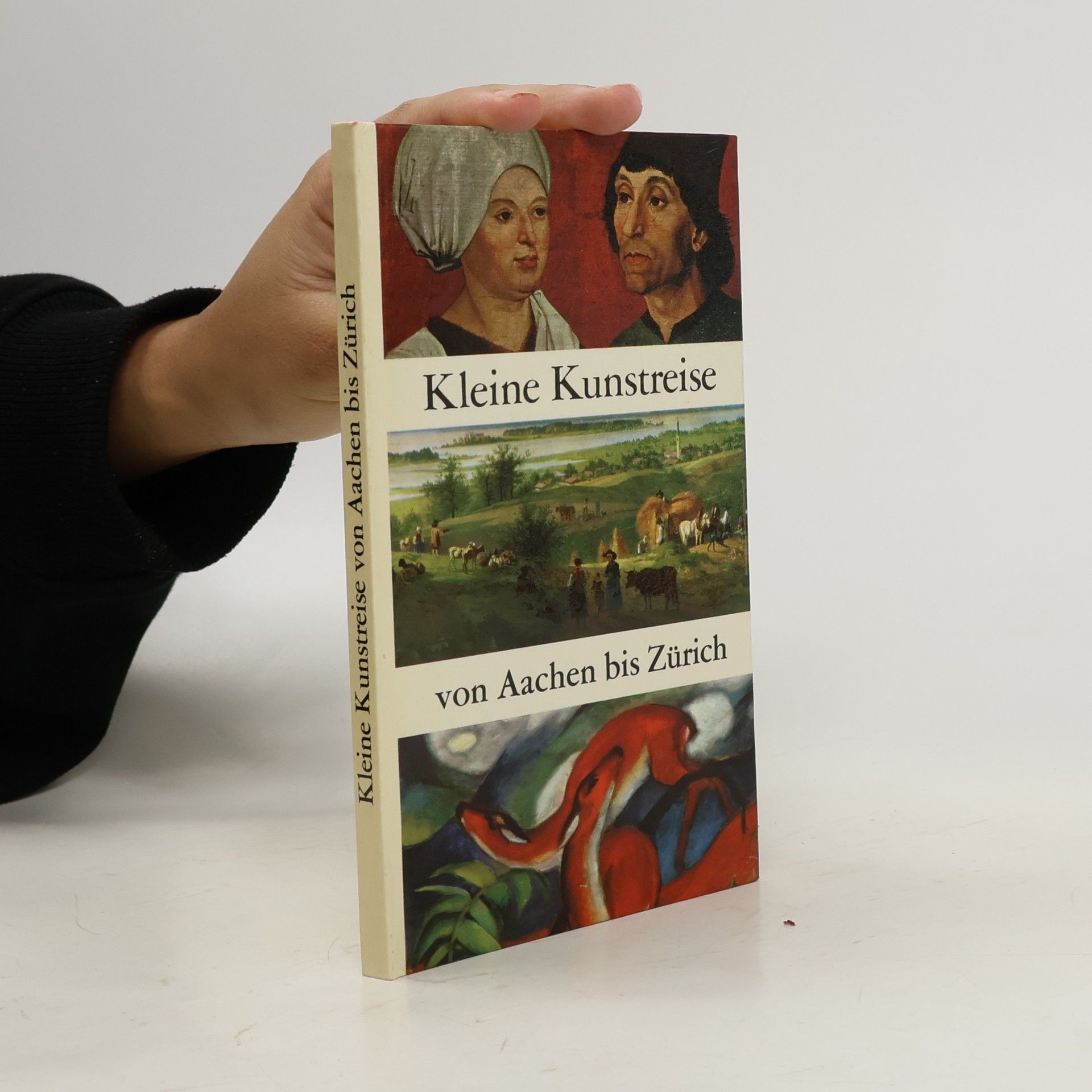 Autores varios Kleine Kunstreise von Aachen bis Zürich