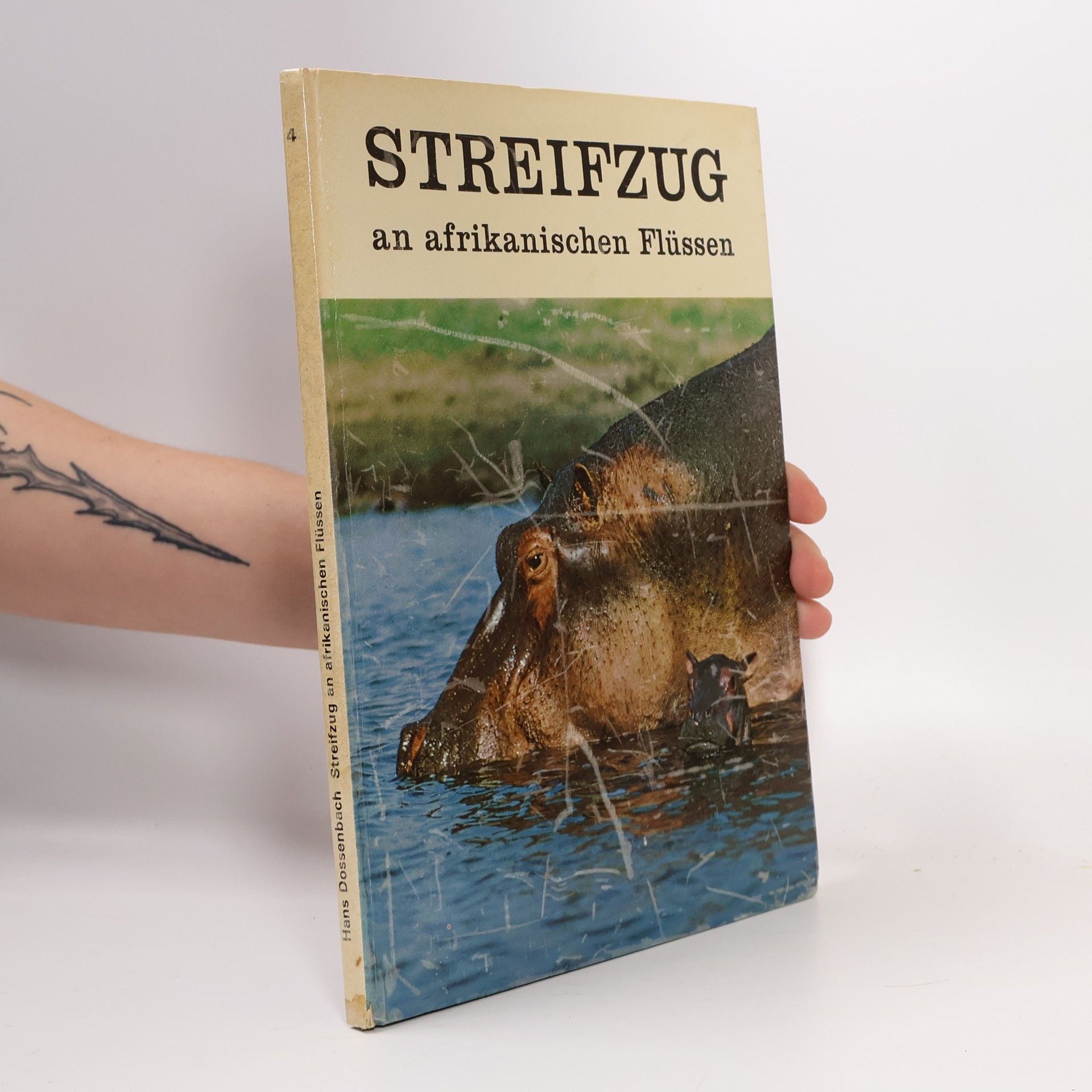 Streifzug an afrikanischer Flüssen