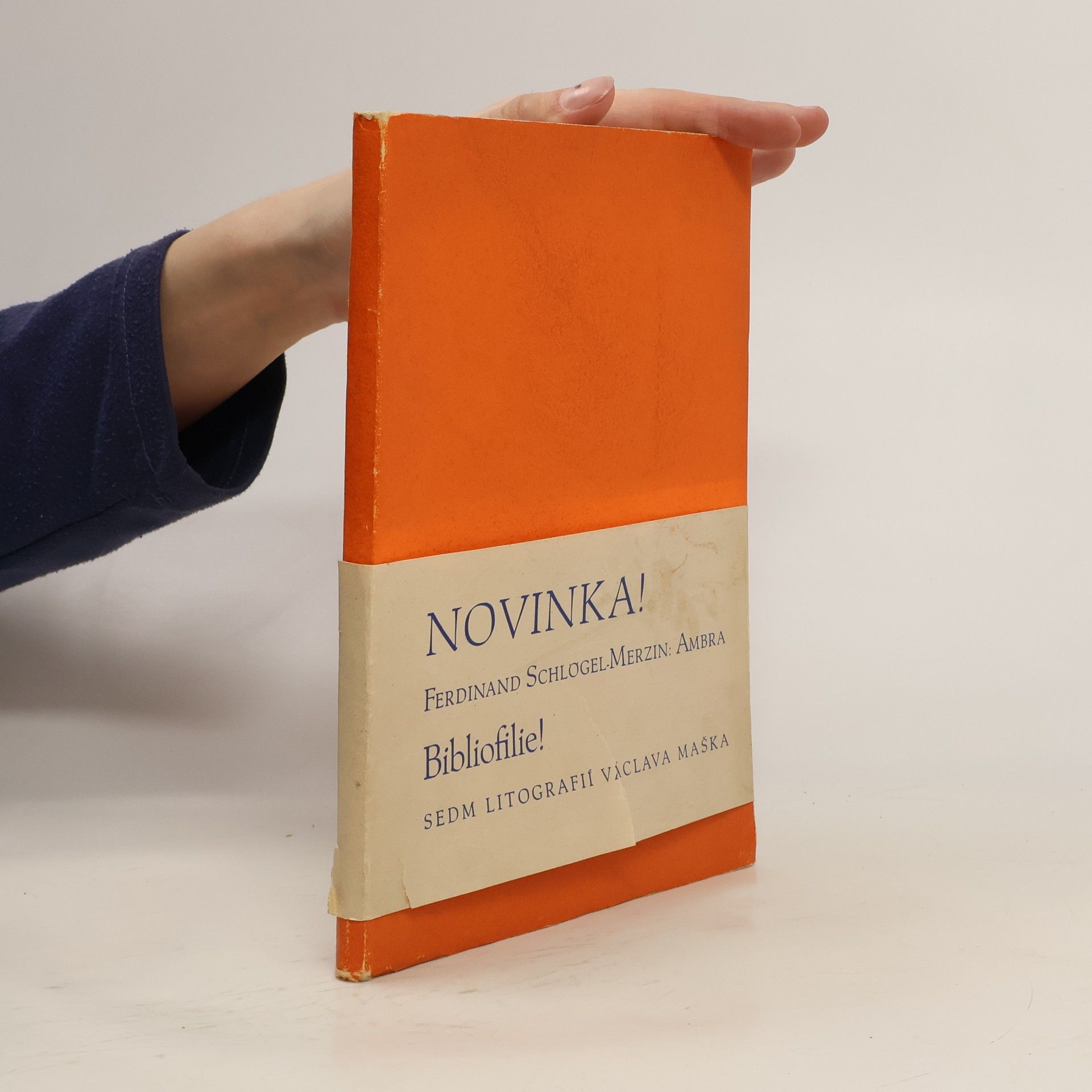 Ferdinand Schlögel Merzin Ambra. Básně z Orientu