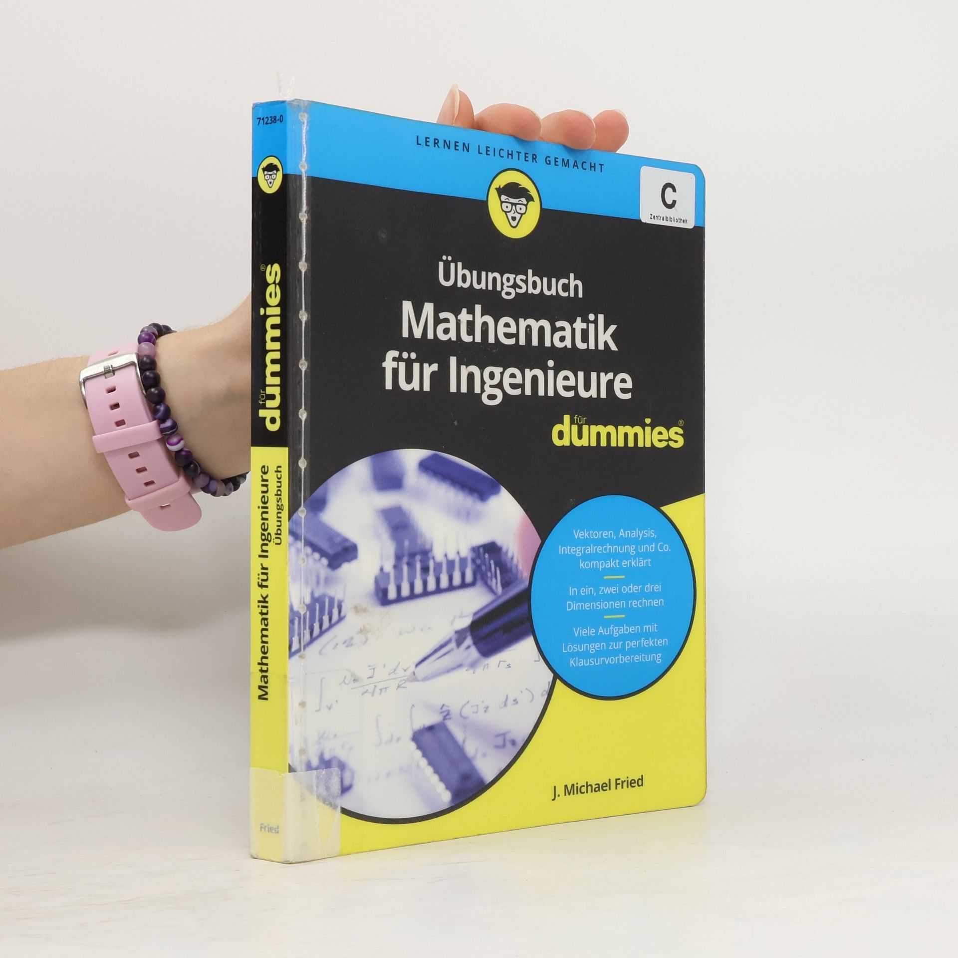 Übungsbuch Mathematik für Ingenieure für Dummies