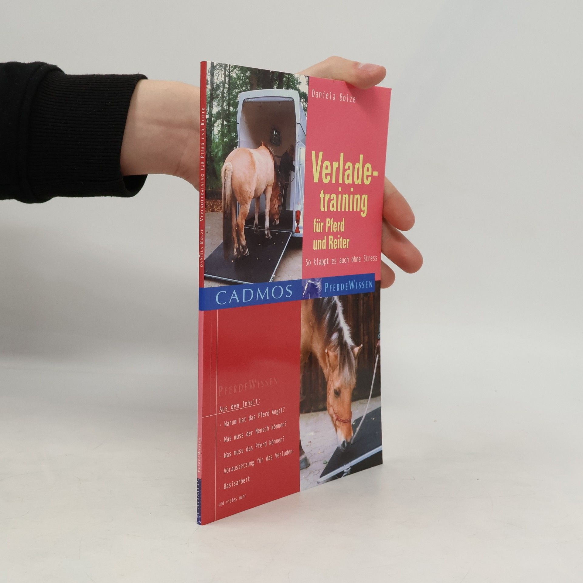 Verladetraining für Pferd und Reiter