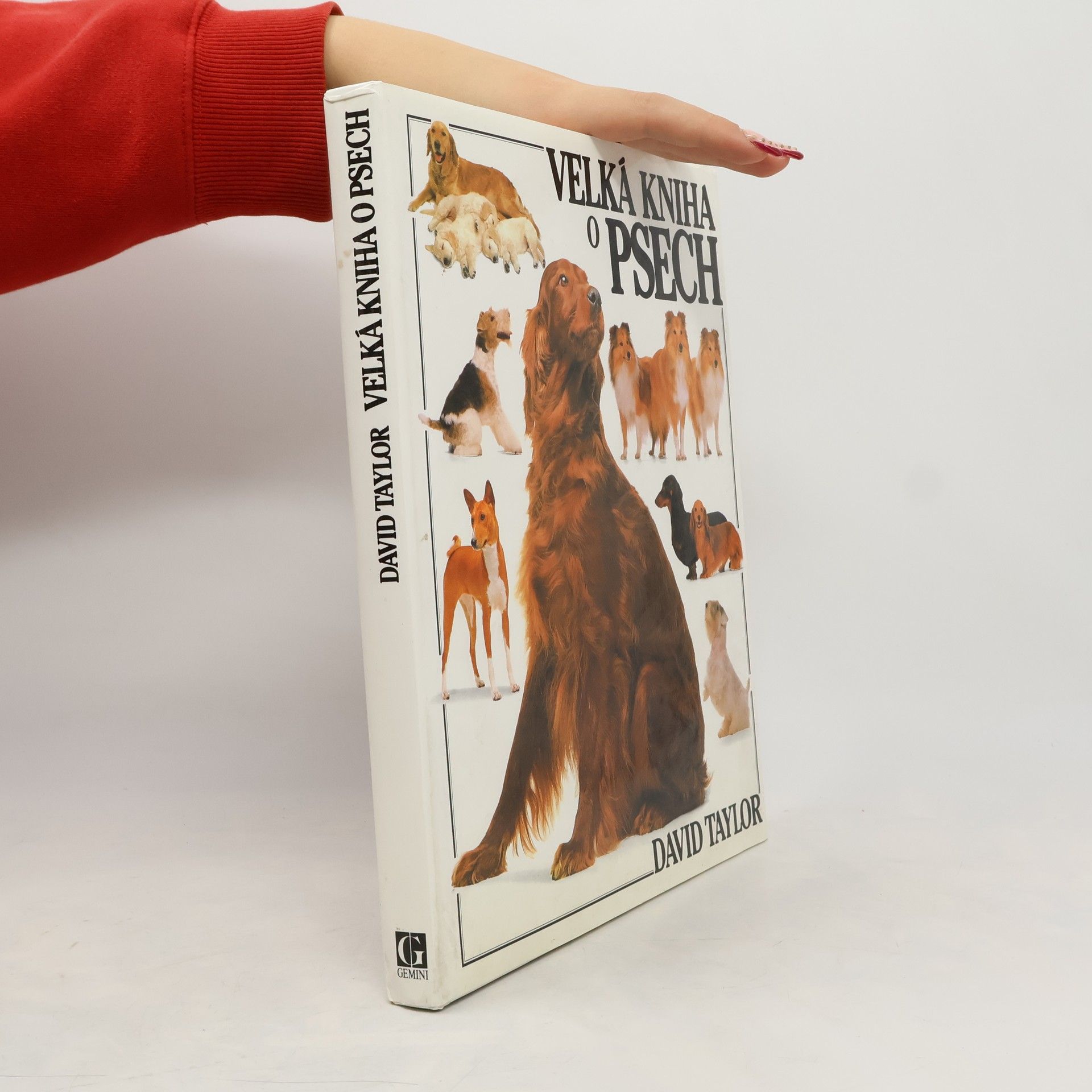 David Taylor Velká kniha o psech