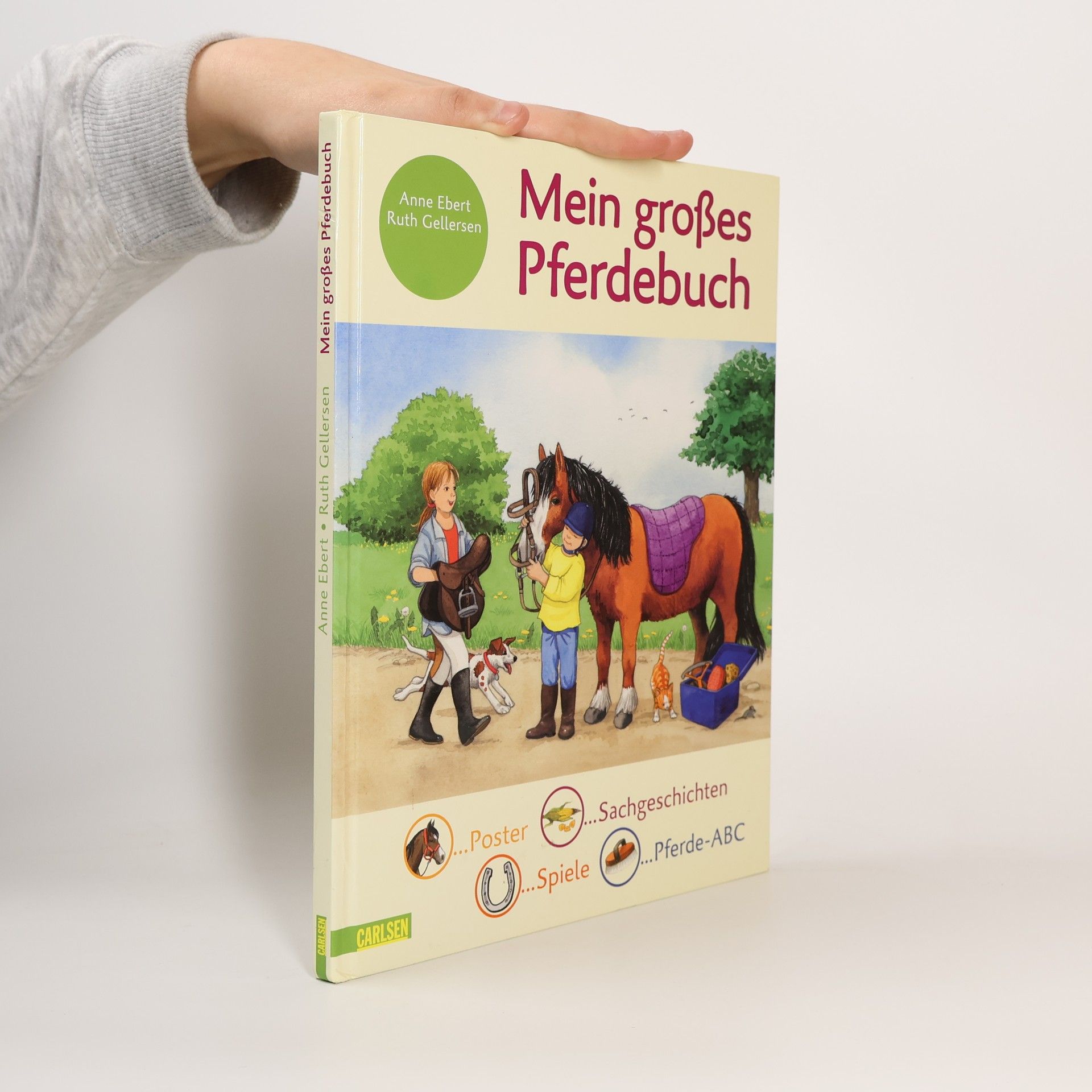 Anne Ebert Mein großes Pferdebuch