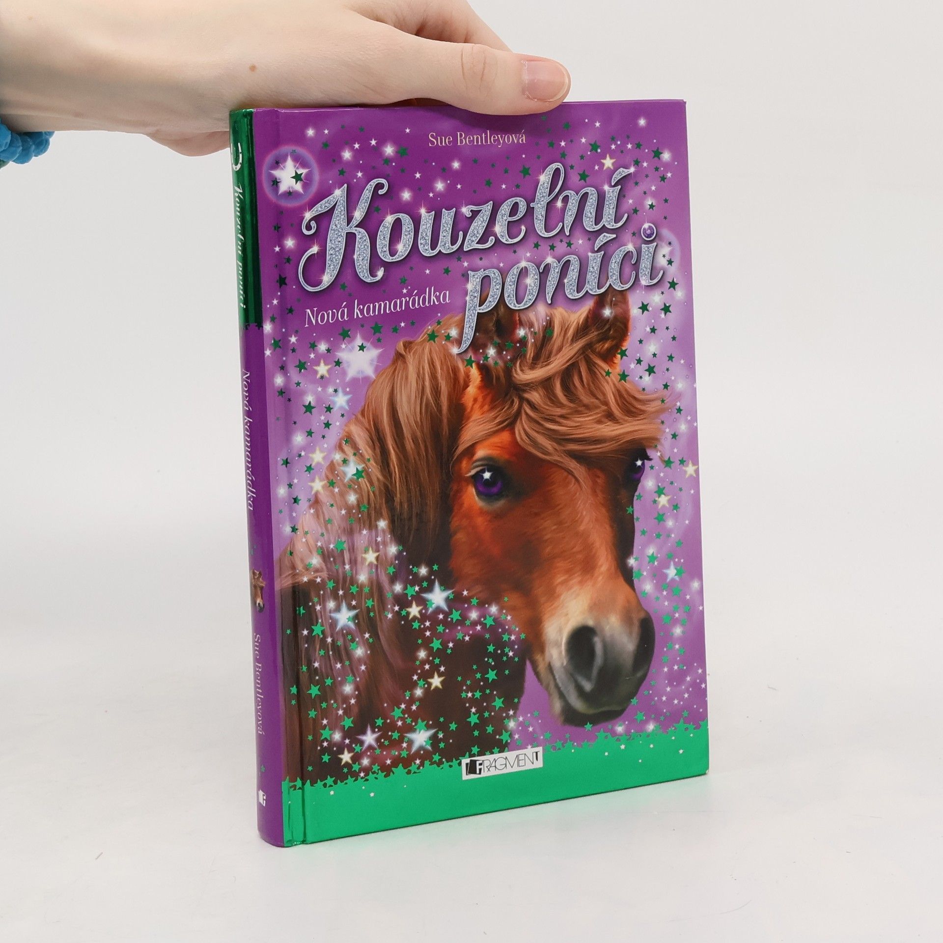 Sue Bentley Nová kamarádka