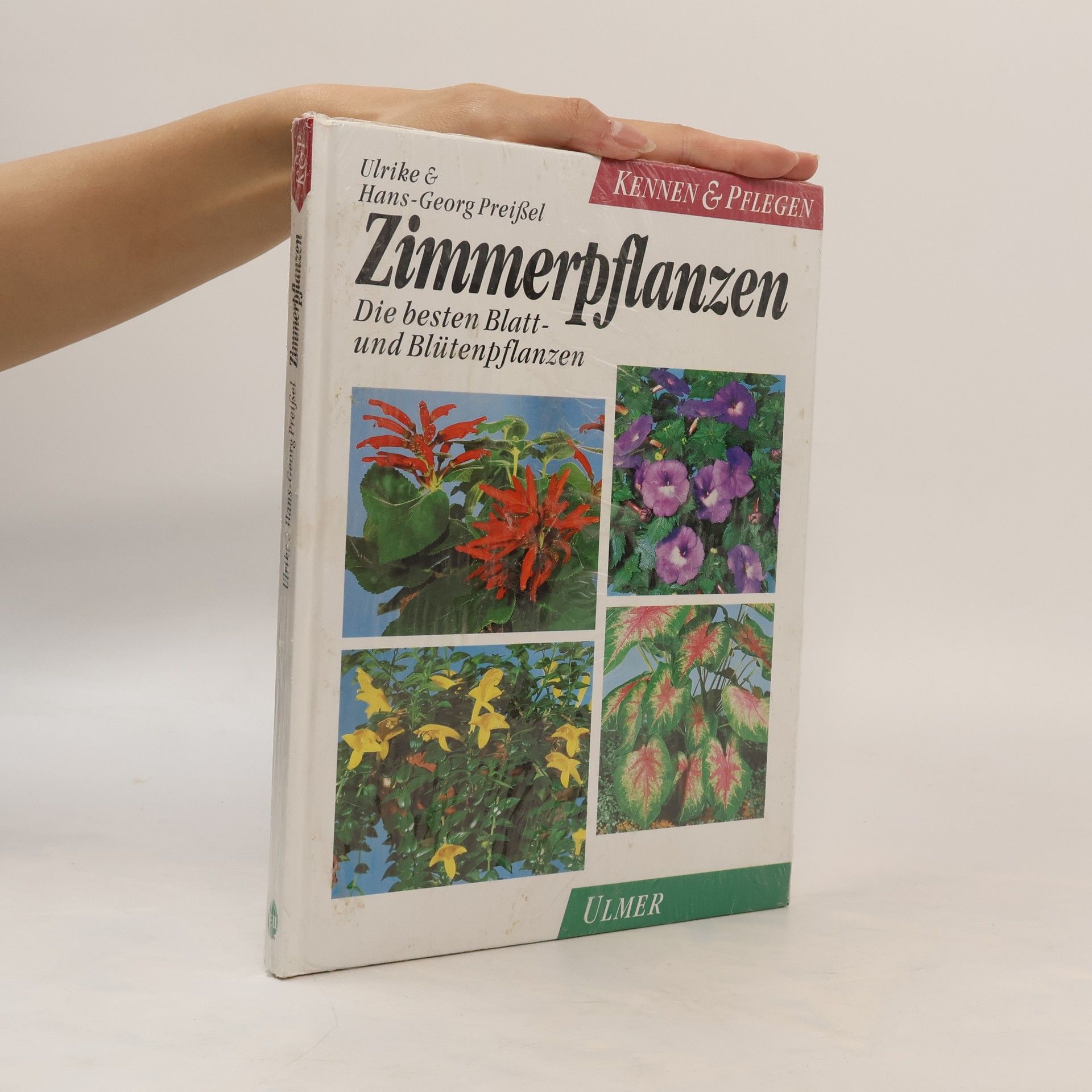 Ulrike Preißel Zimmerpflanzen