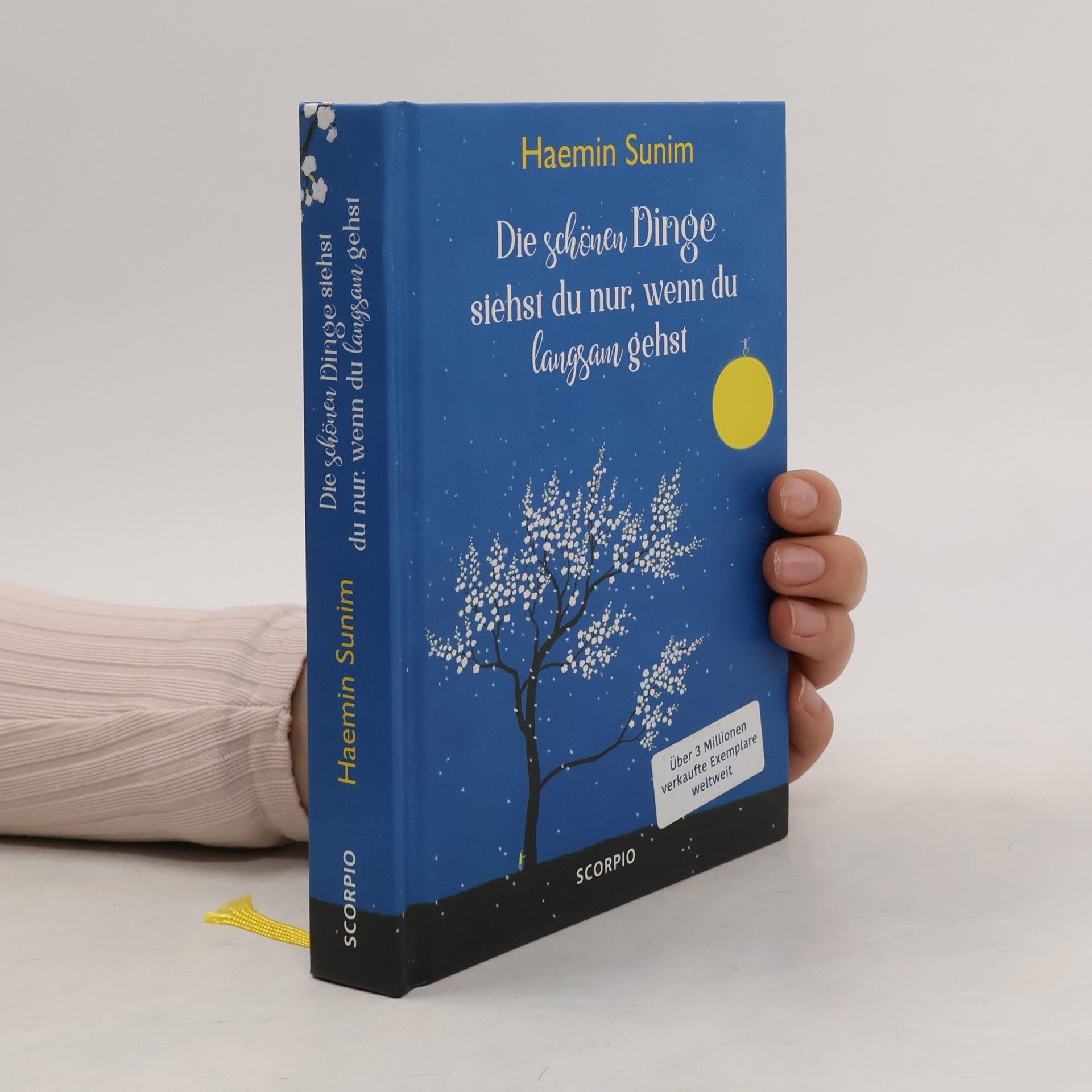 Haemin Die schönen Dinge siehst du nur, wenn du langsam gehst