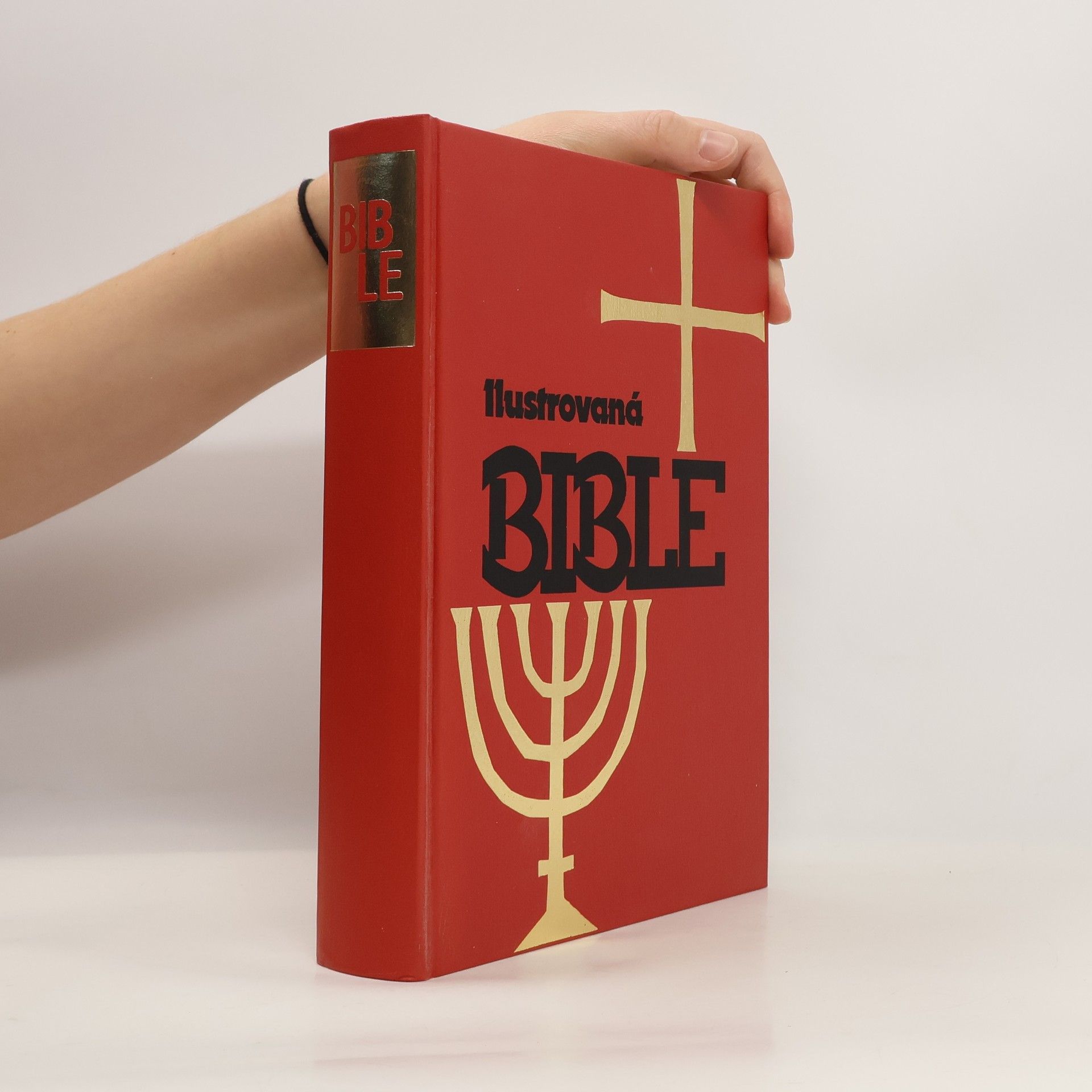 Kolektív autorov Ilustrovaná Bible