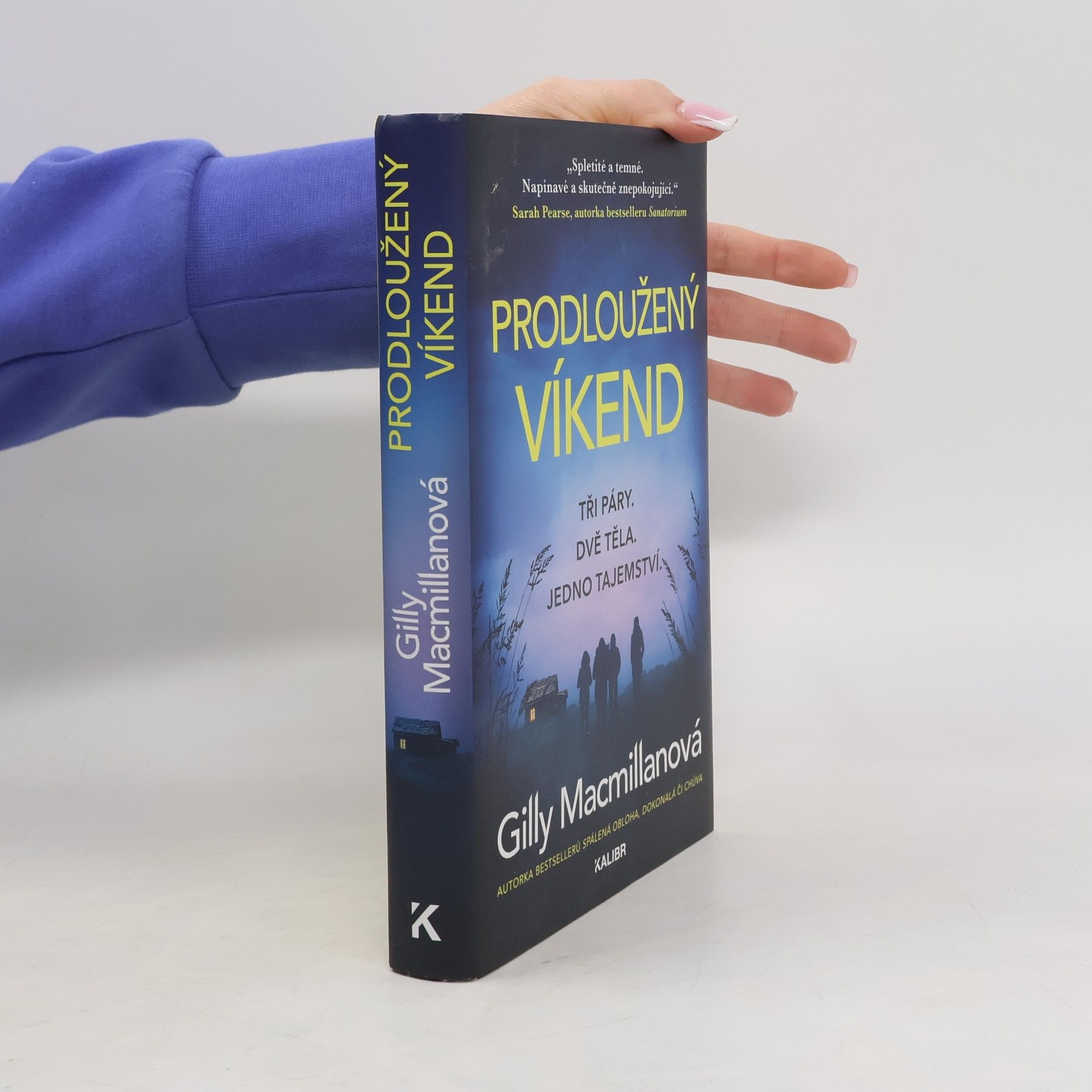 Gilly Macmillan Prodloužený víkend