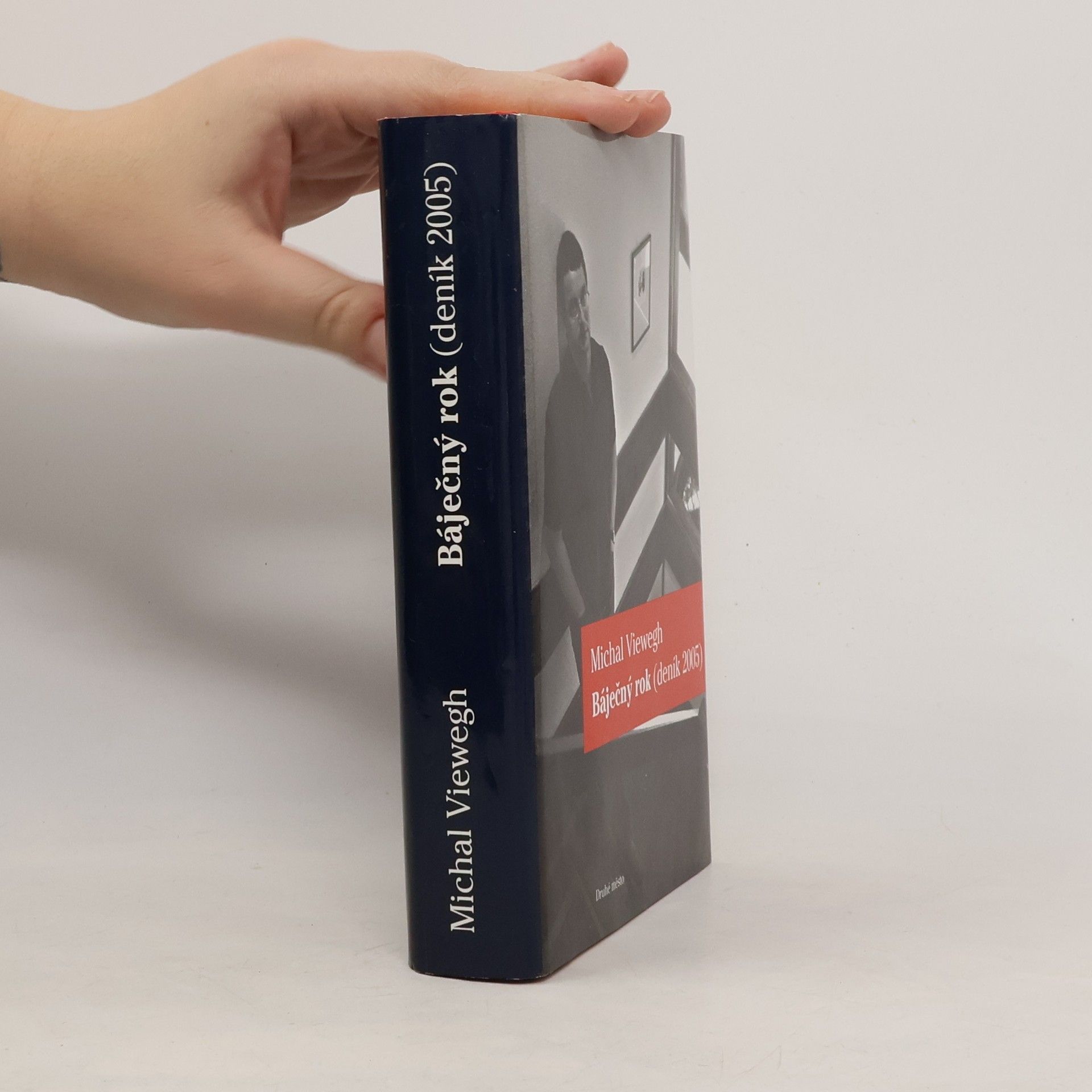 Michal Viewegh Báječný rok