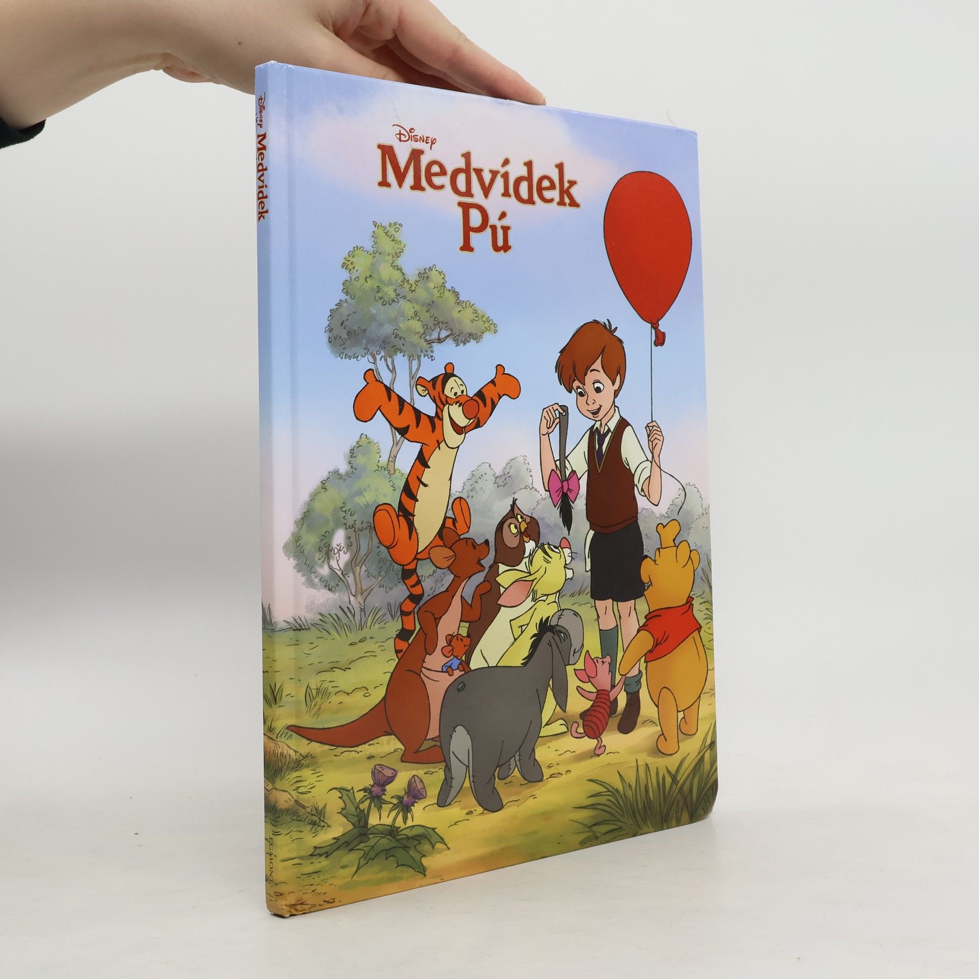 Kolektiv autorů Medvídek Pú