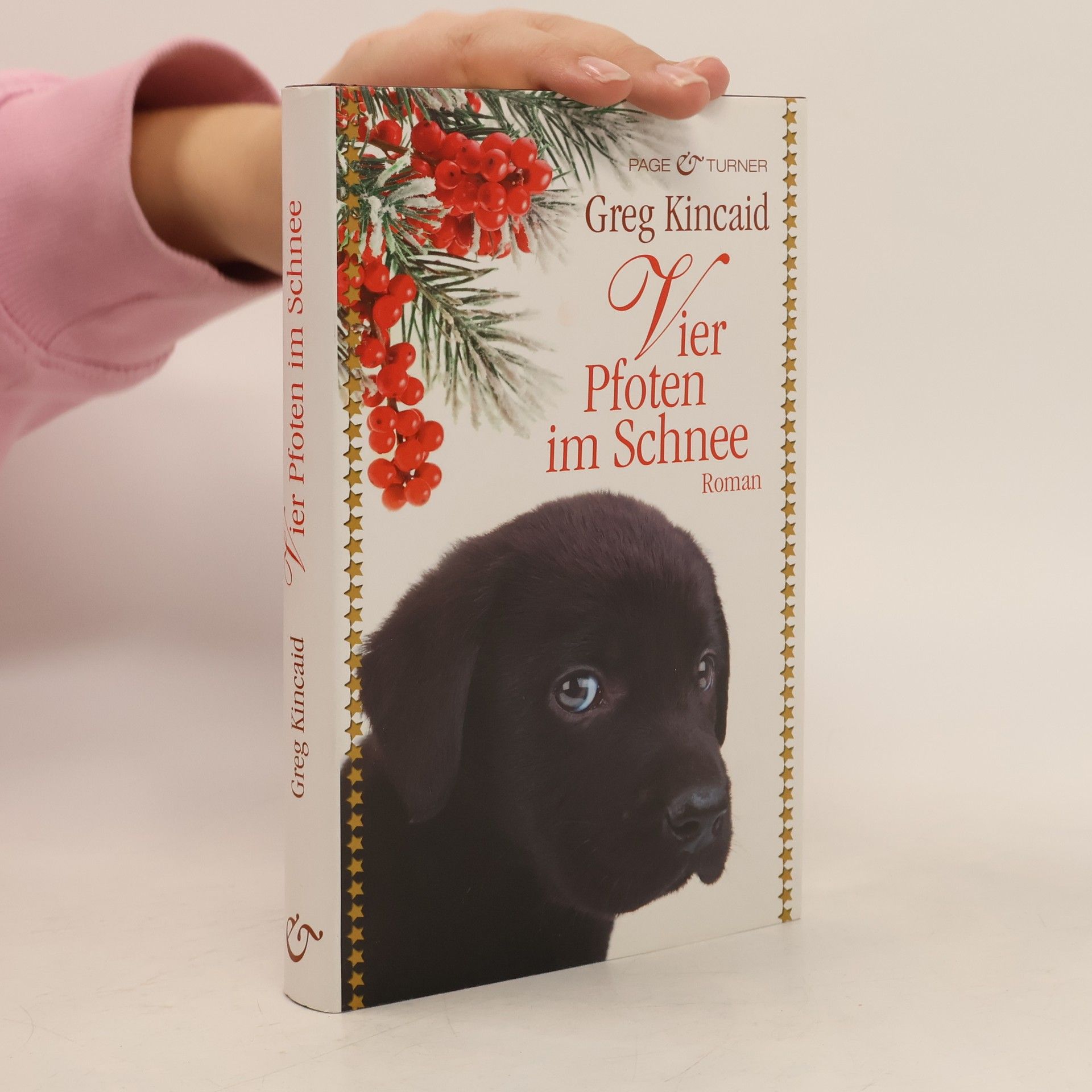 Greg Kincaid Vier Pfoten im Schnee