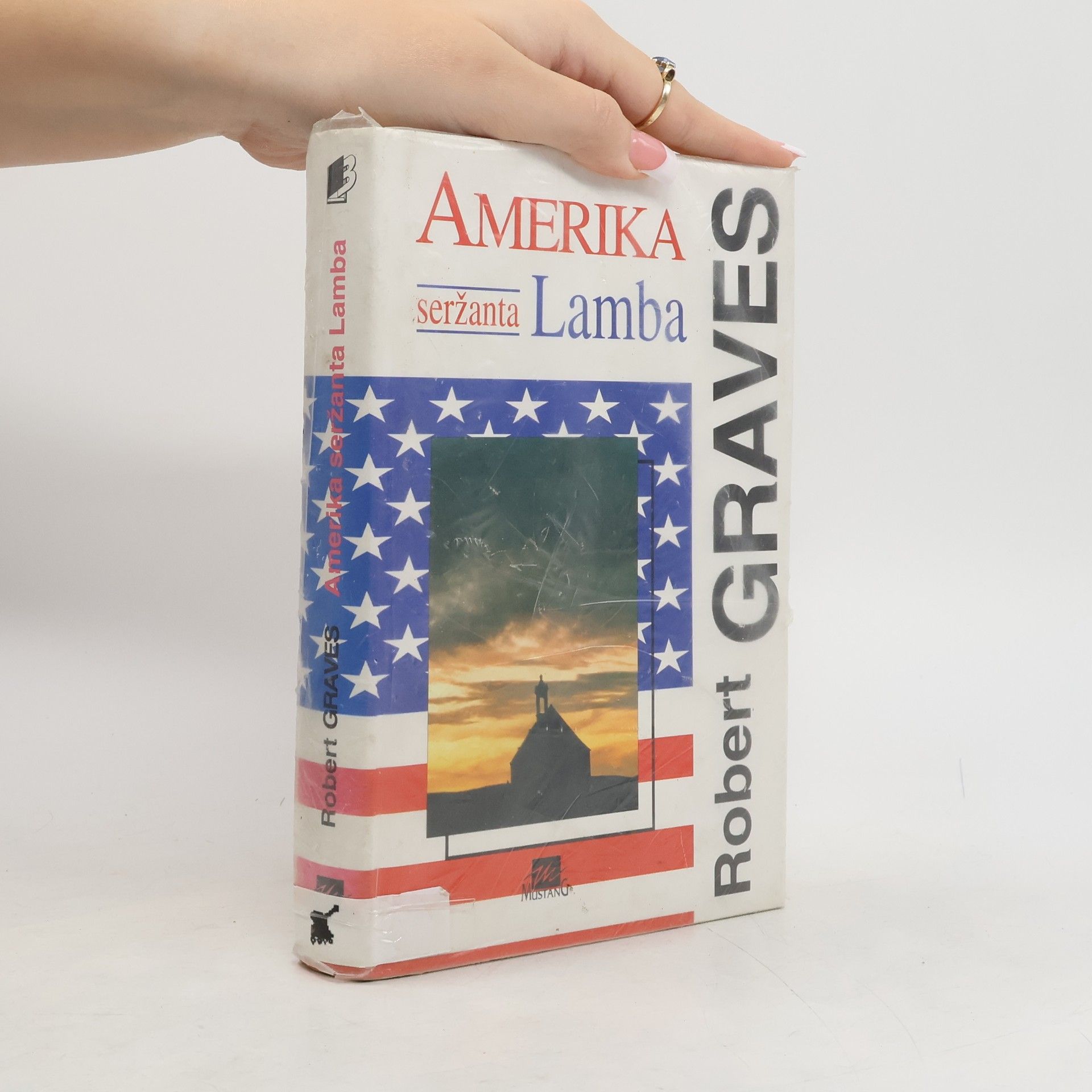 Amerika seržanta Lamba